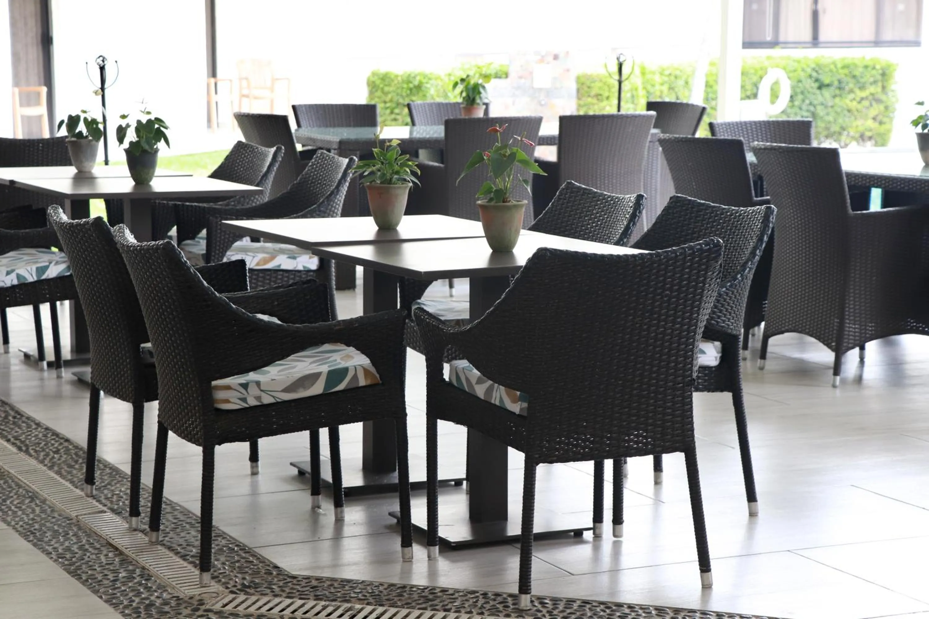 Restaurant/places to eat in Casa Francisco