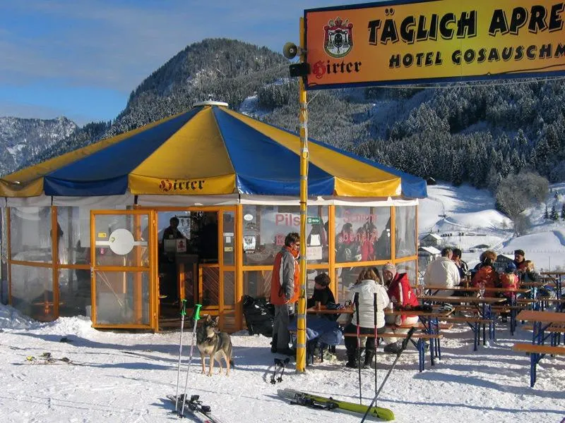 Skiing in Jugendgästehaus Gosauschmied