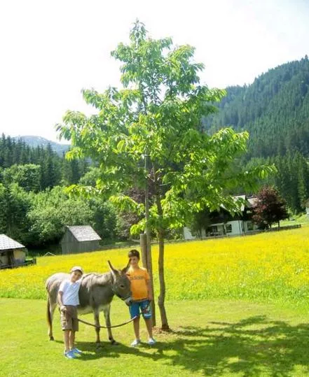 Garden in Gasthof Gosauschmied