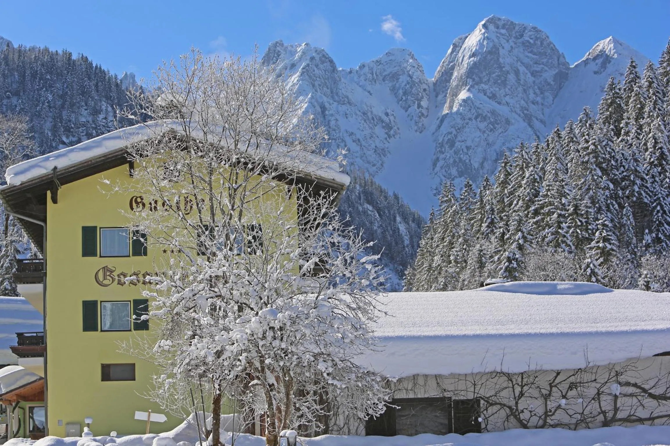 Property building in Gasthof Gosauschmied