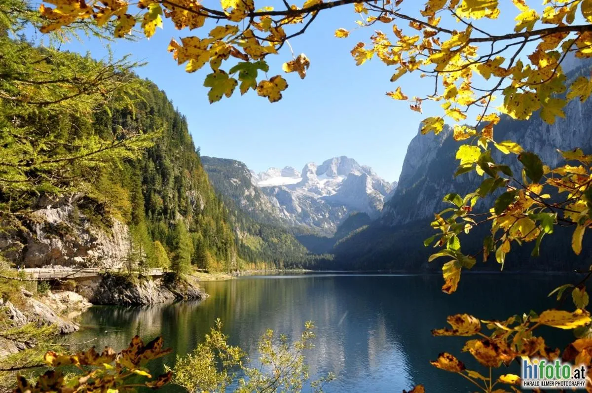 Lake view in Gasthof Gosauschmied