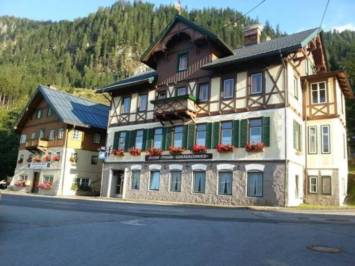 Area and facilities in Gasthof Gosauschmied