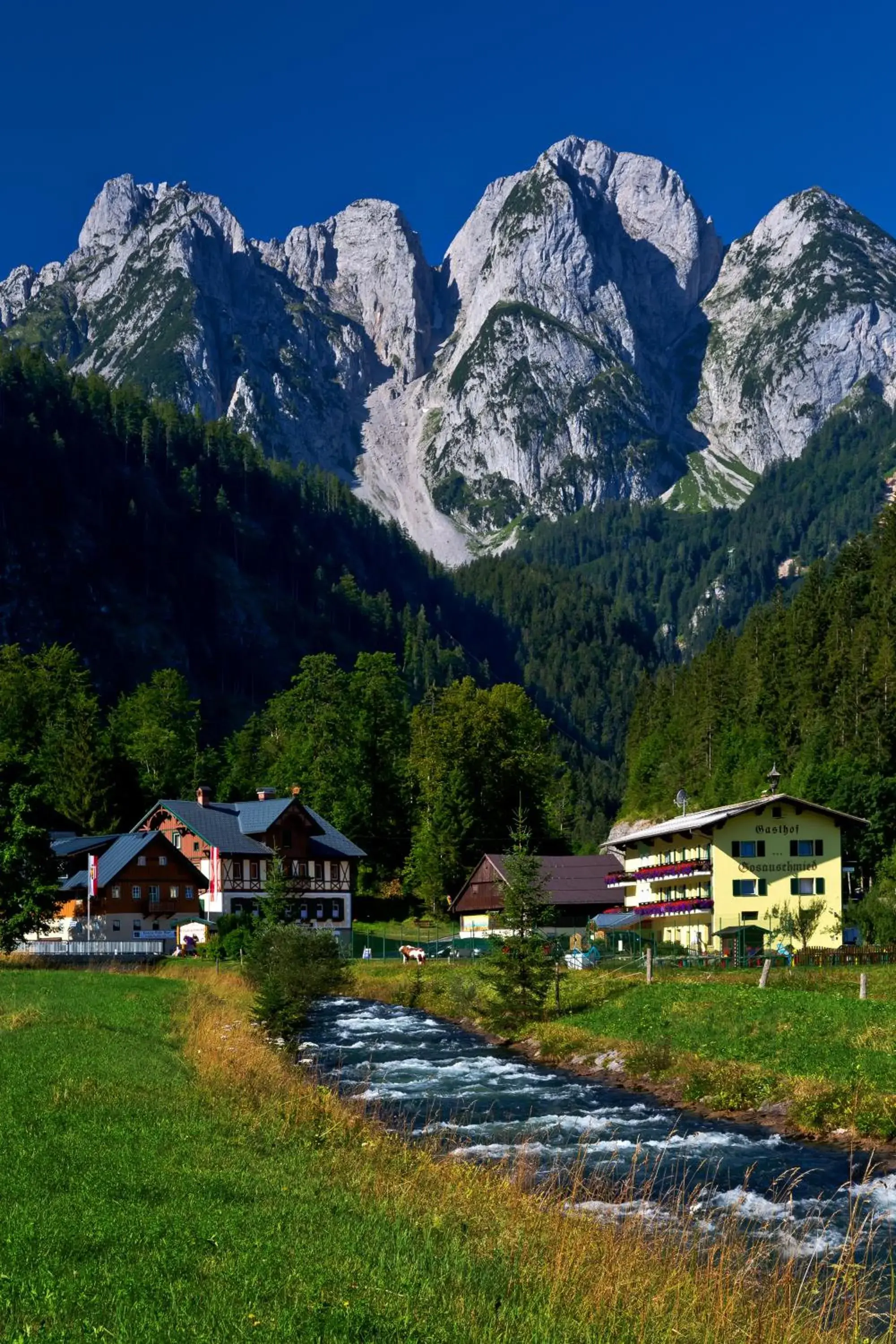 Gasthof Gosauschmied Gasthof Gosauschmied