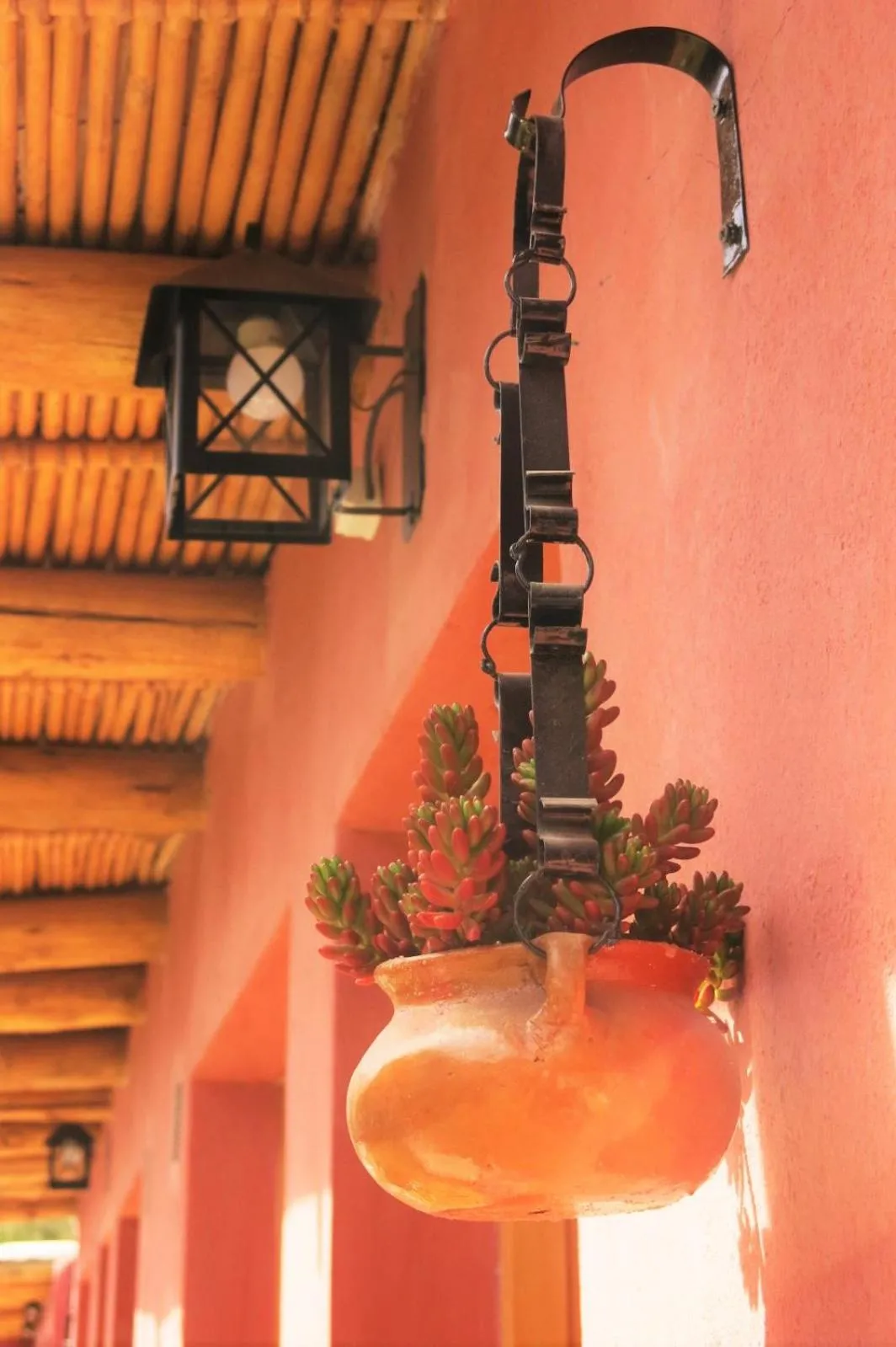 Garden in Casatilcara Cabañas