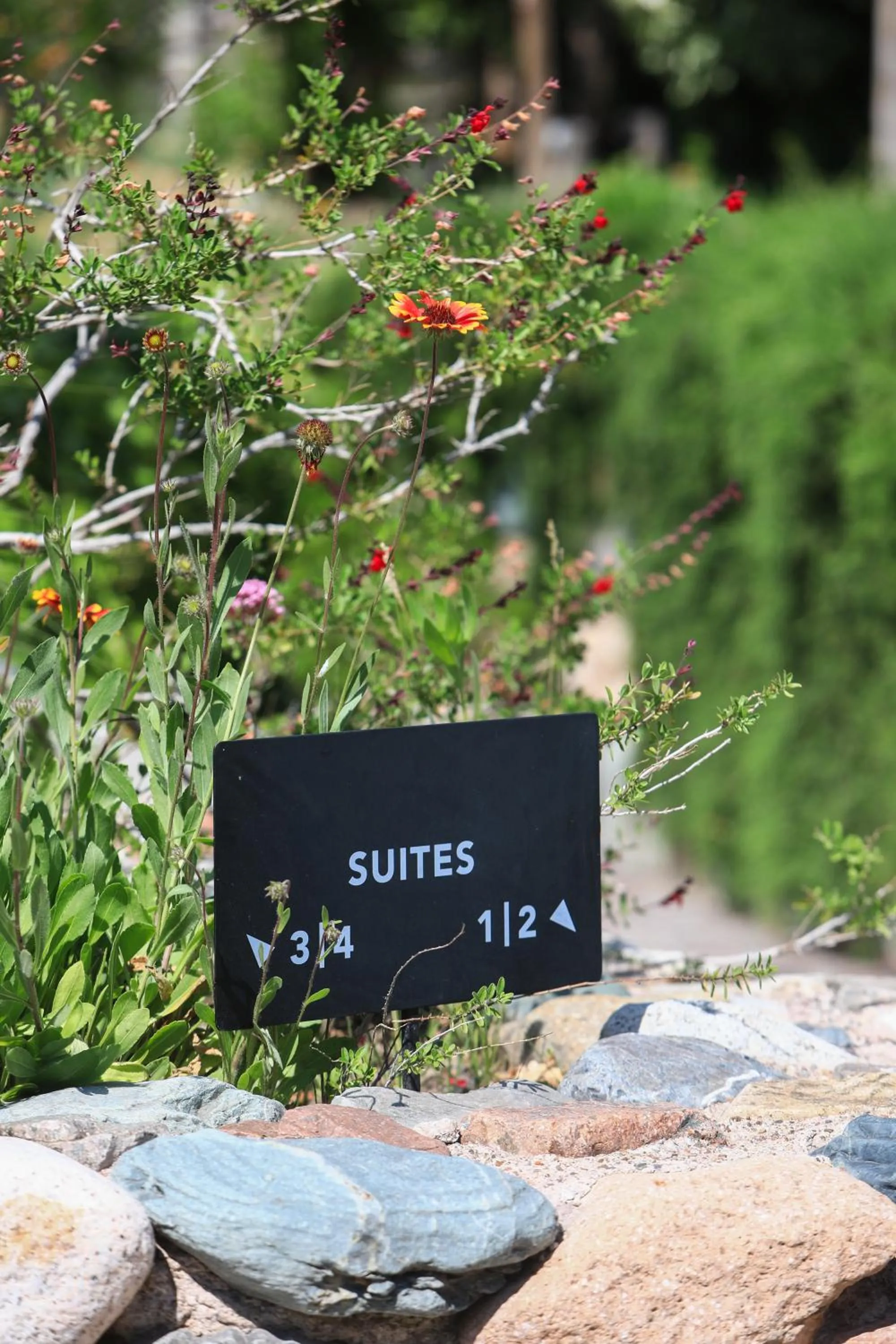 Lobby or reception in El Carmelo Mountain Lodge