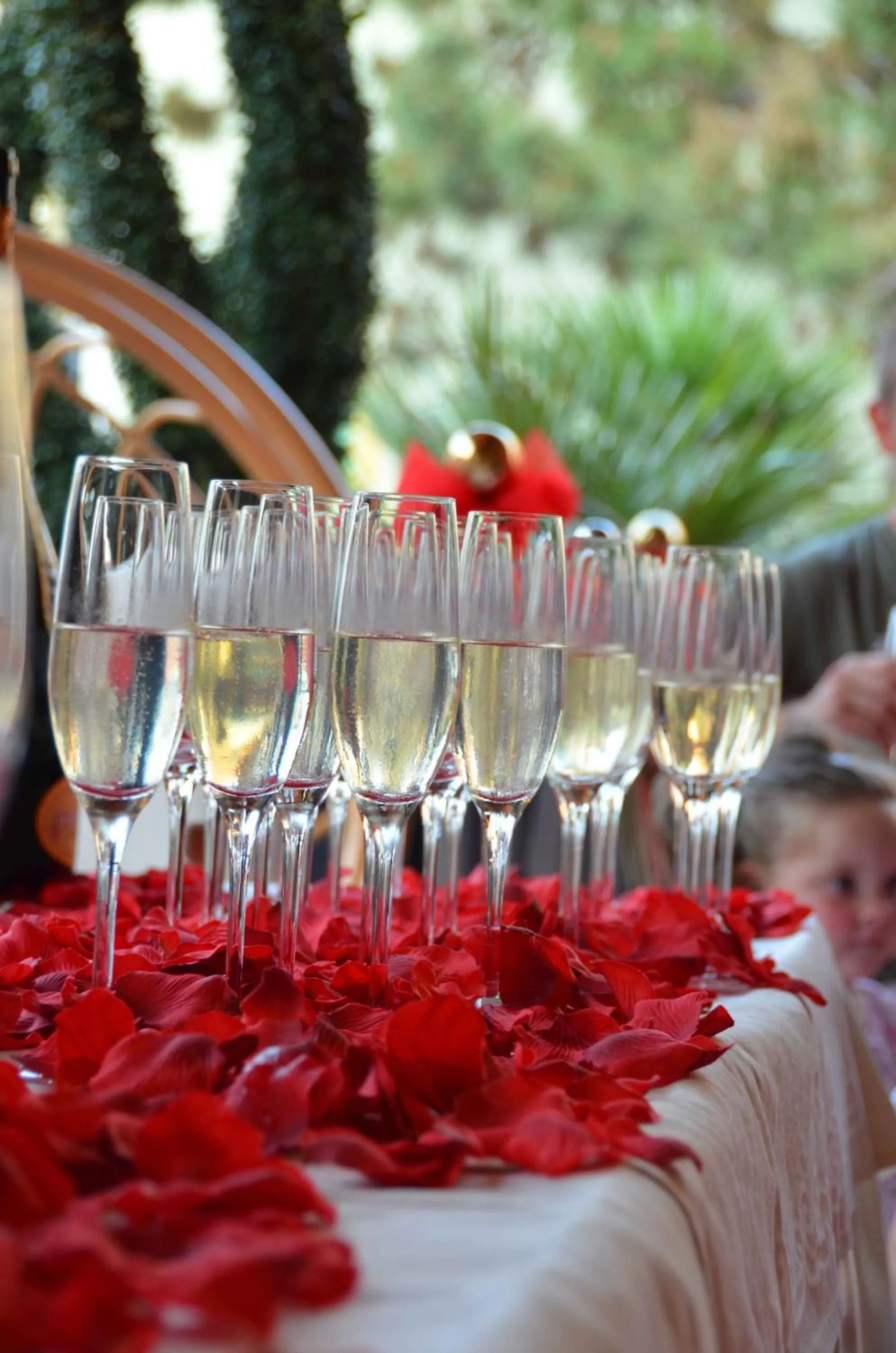 Alcoholic drinks in Hotel Villa Angelina