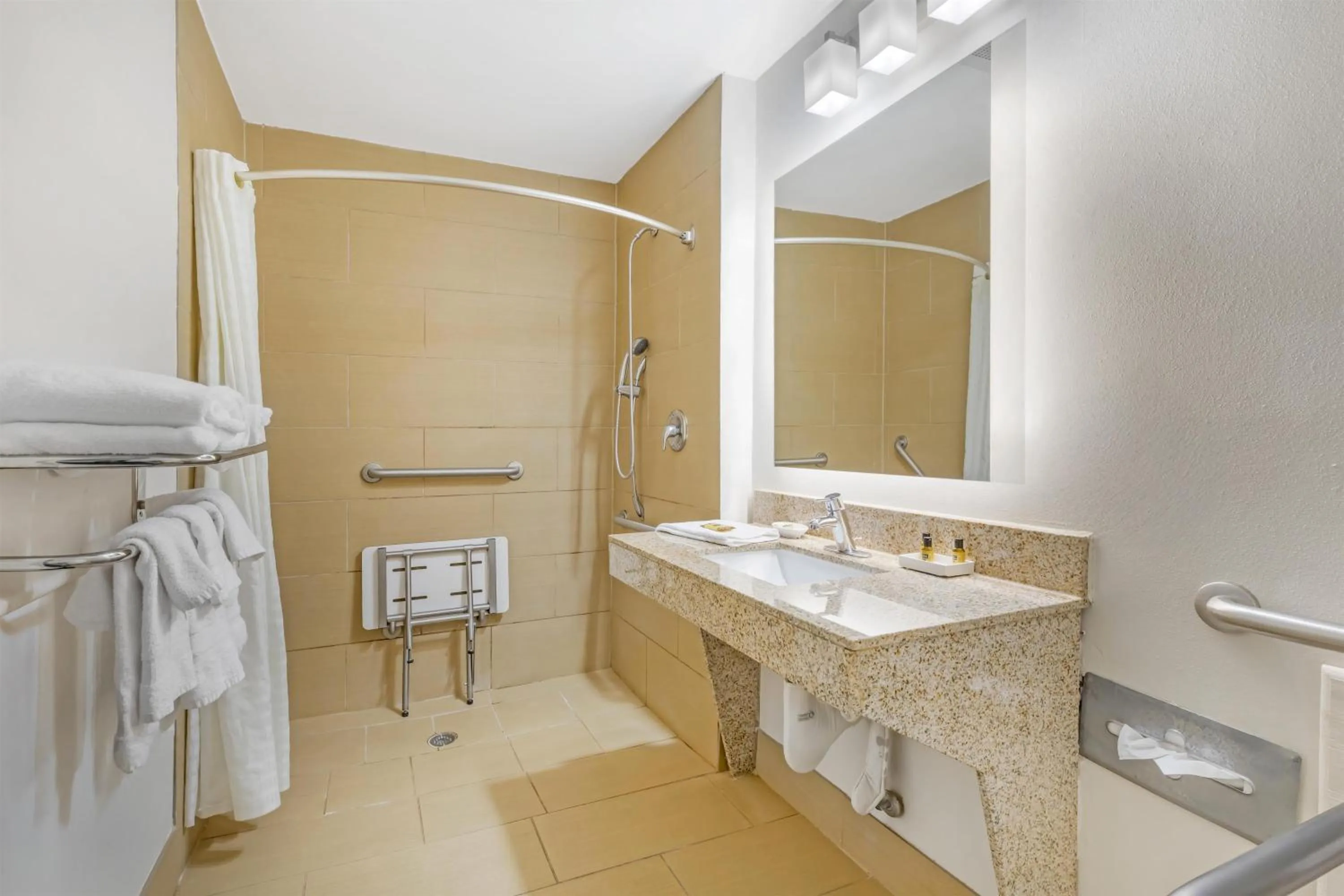 Bathroom in Best Western Plus McDonough Inn & Suites