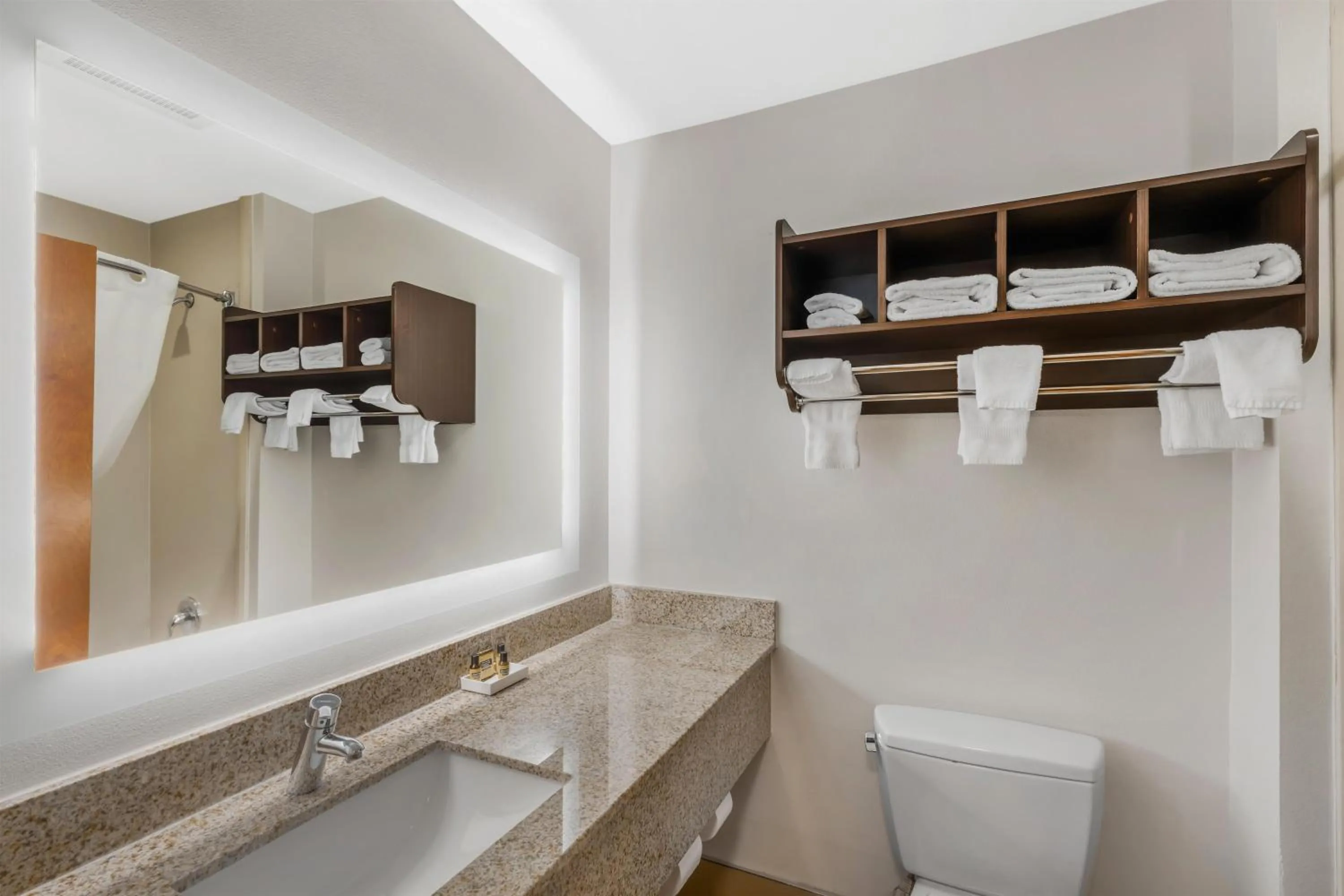 Bathroom in Best Western Plus McDonough Inn & Suites