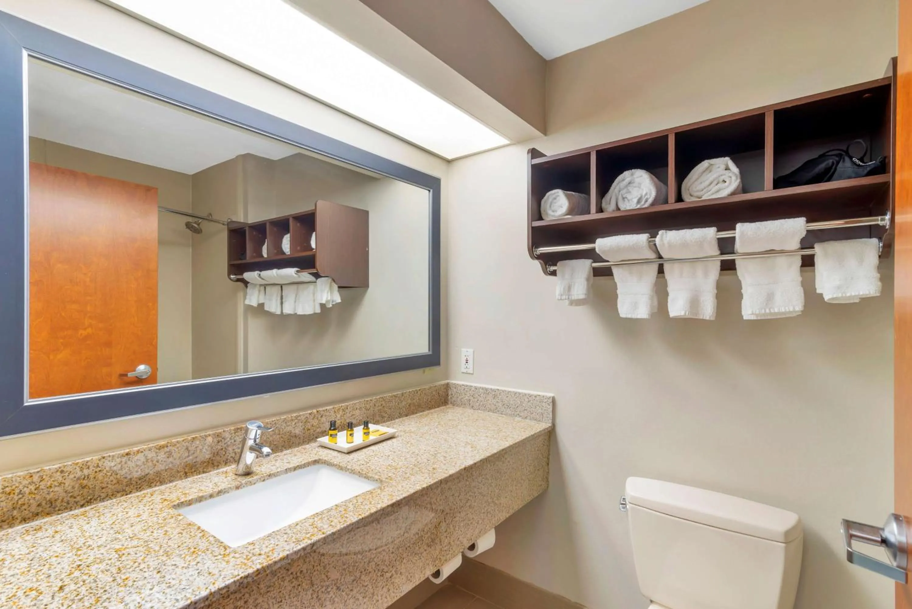 Bathroom in Best Western Plus McDonough Inn & Suites