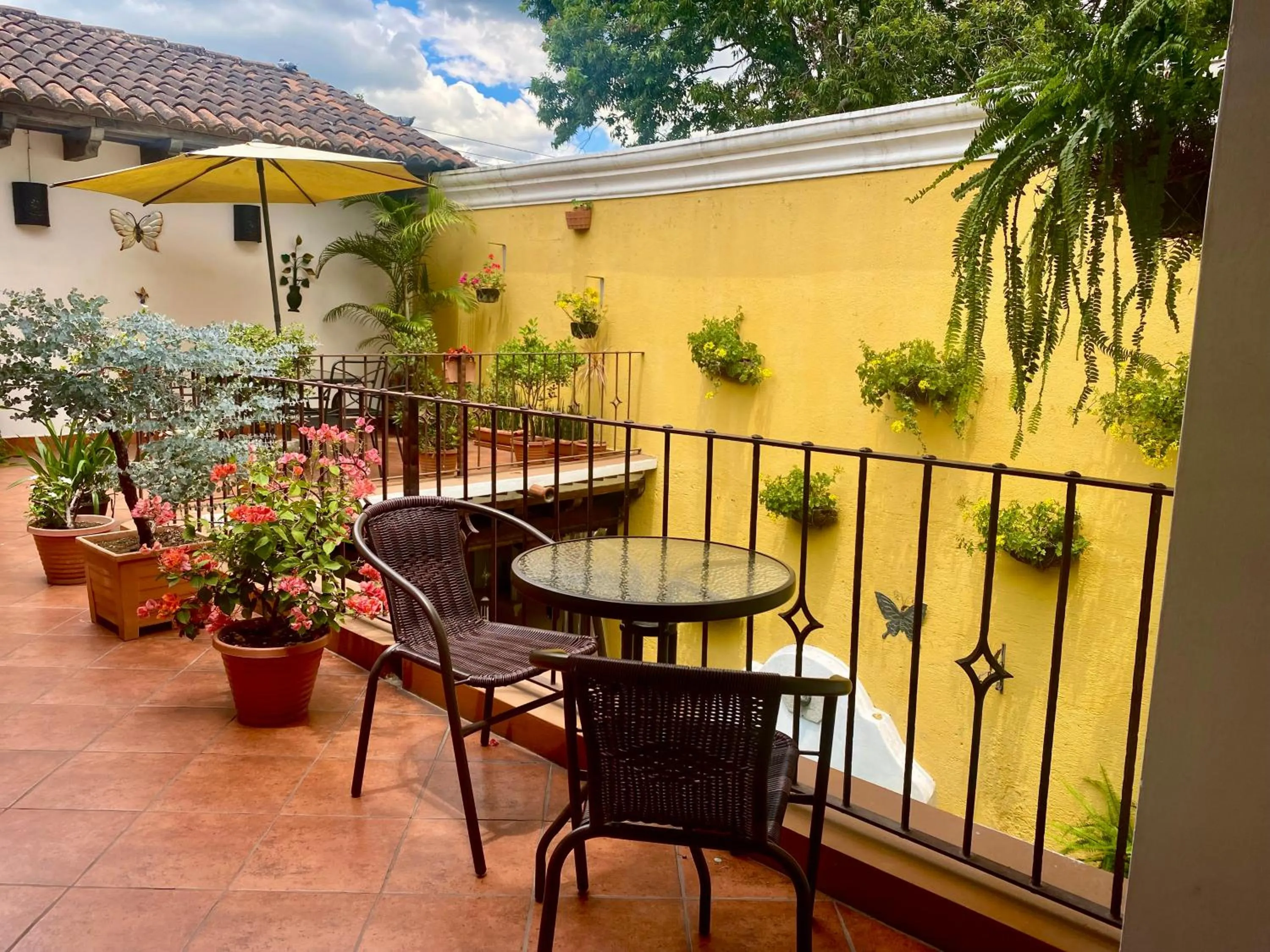 Garden in Hotel la Galería