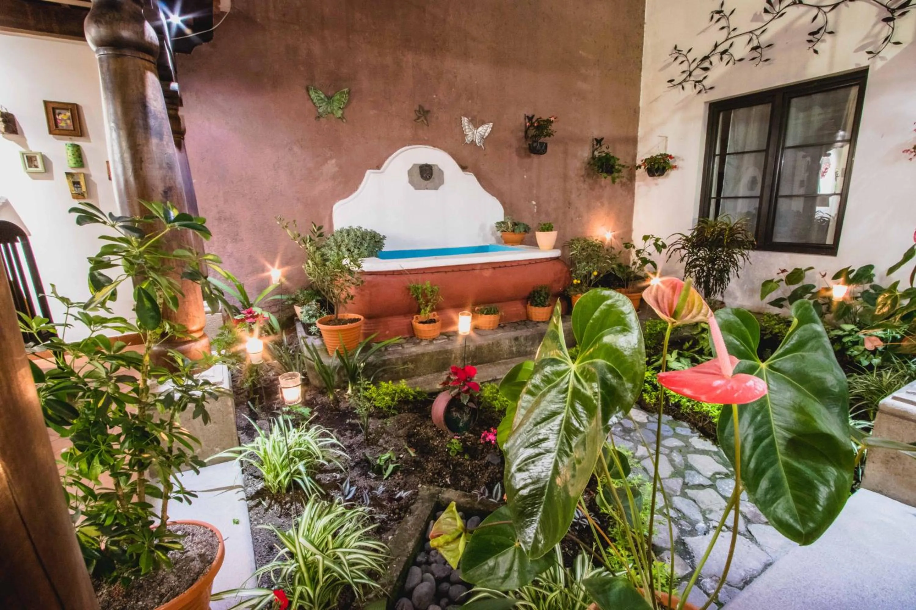 Garden in Hotel la Galería