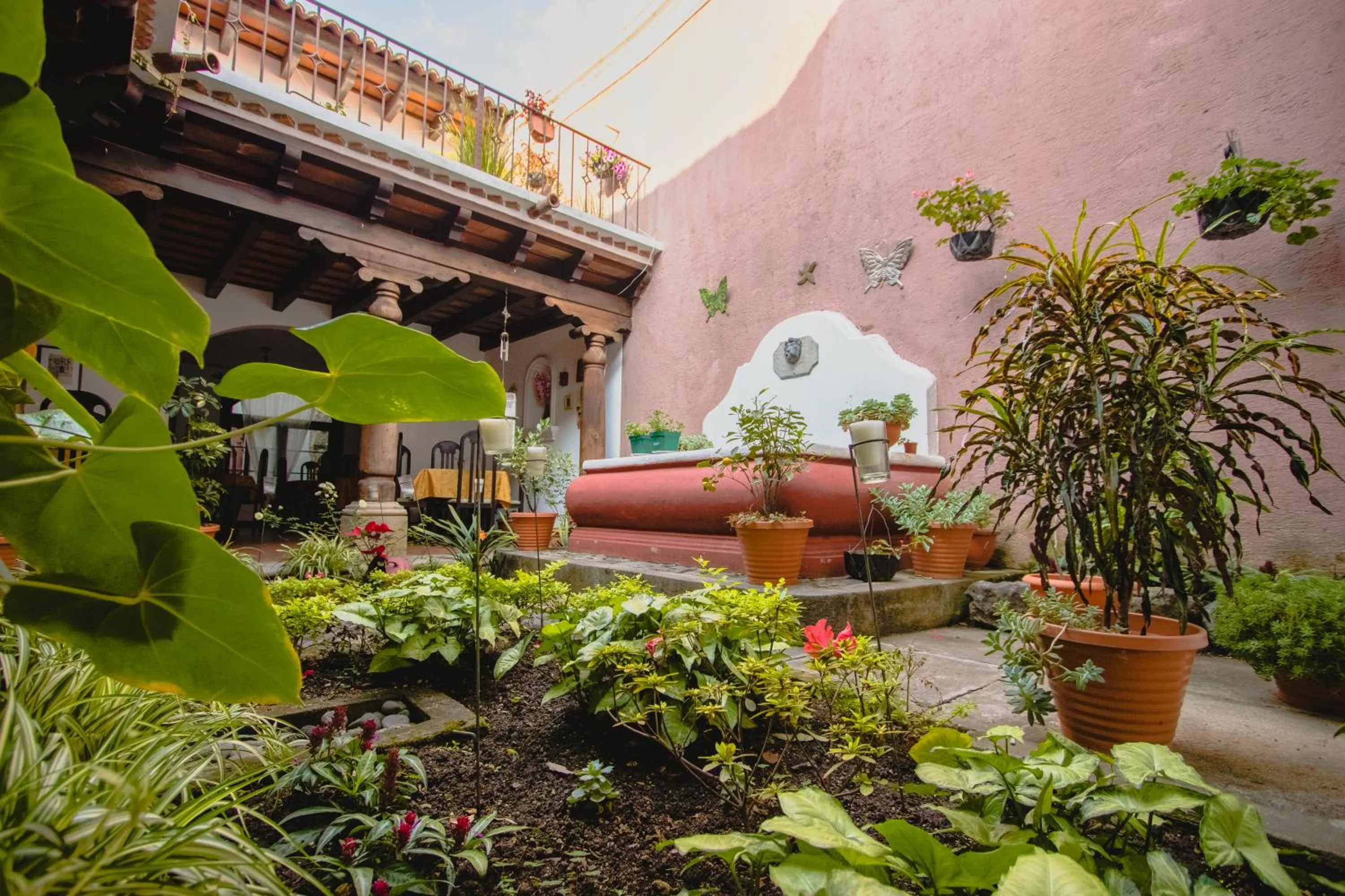 Garden view in Hotel la Galería