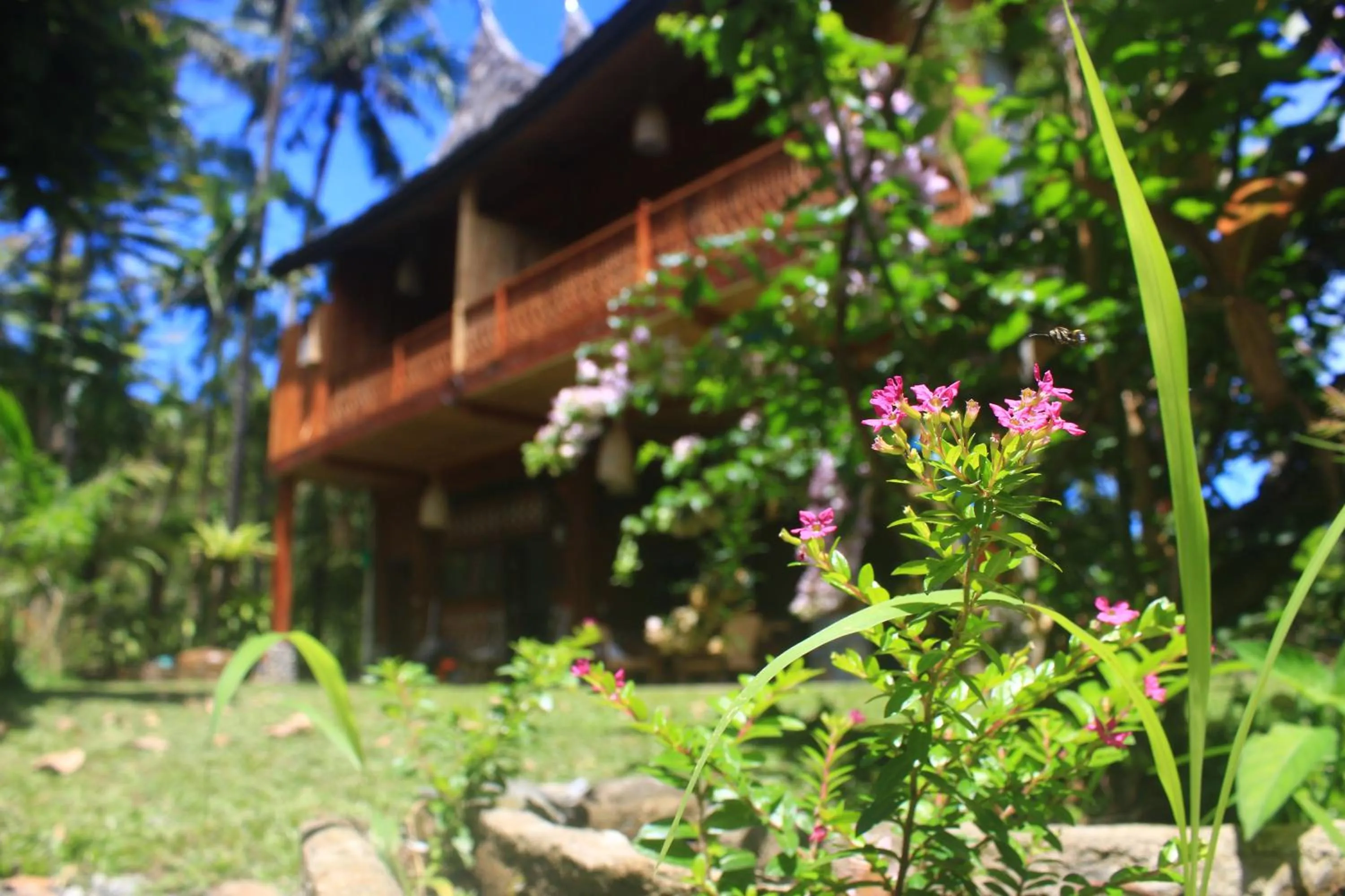 Padi Ecolodge