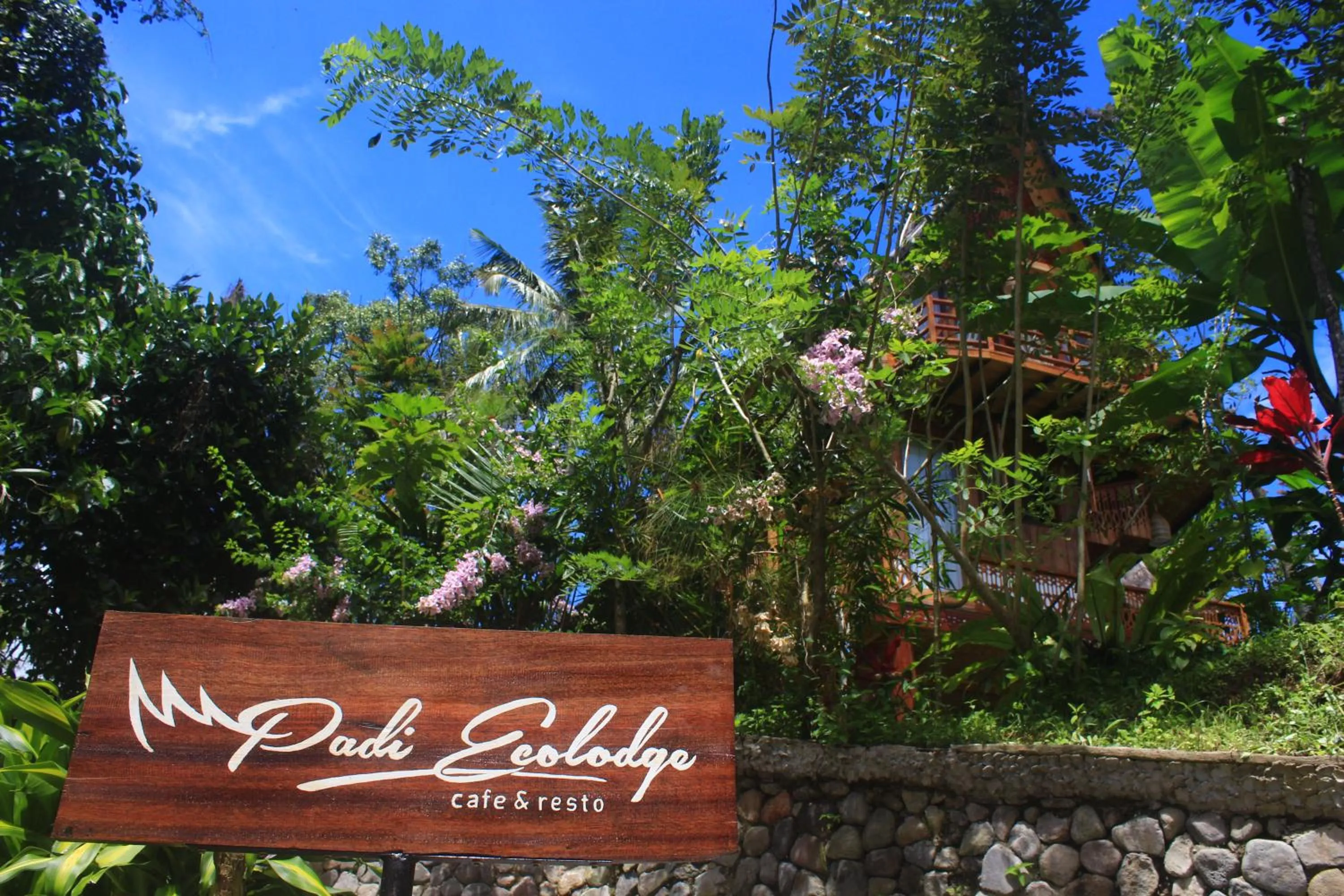 Padi Ecolodge