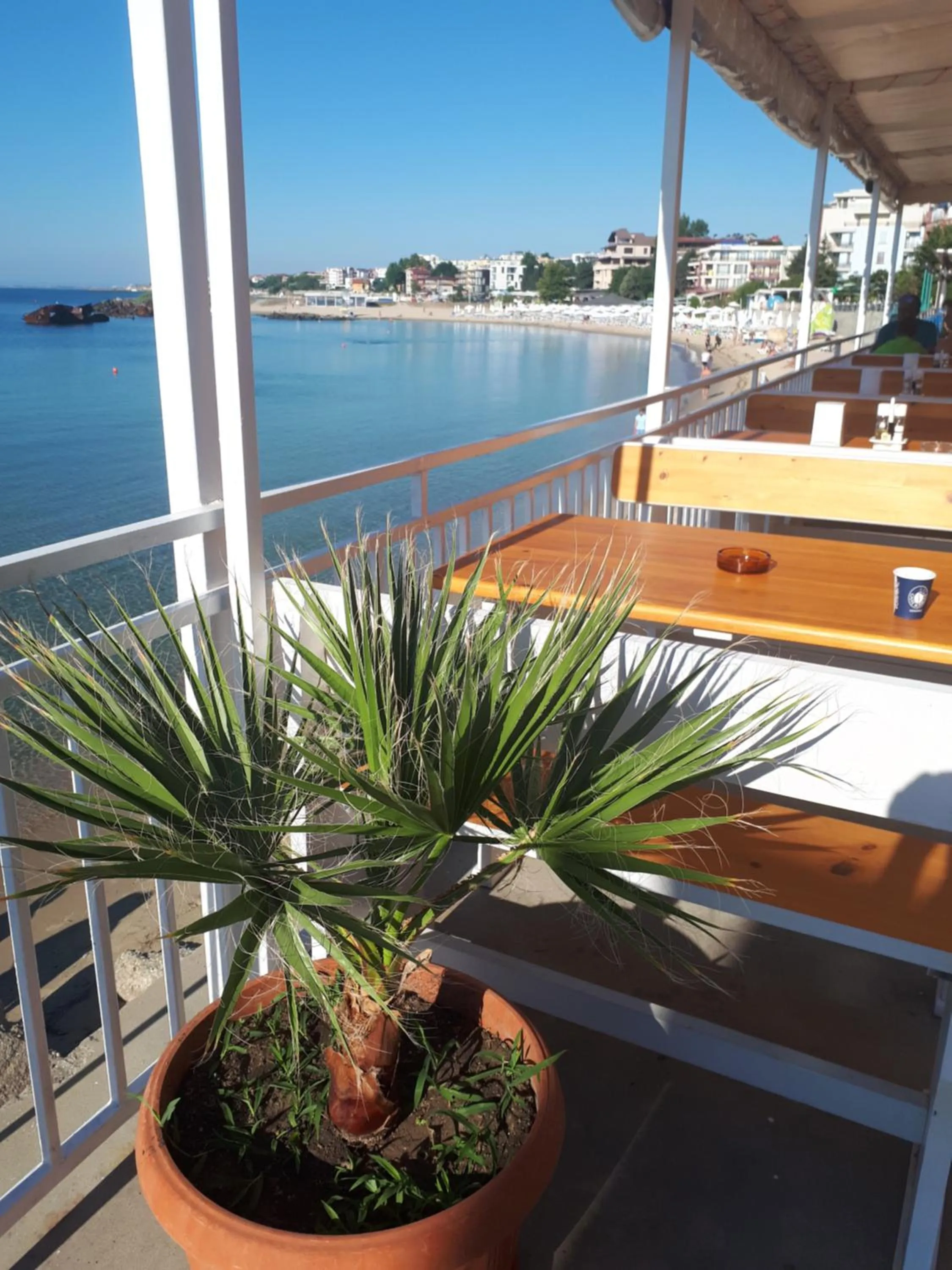 Restaurant/places to eat in Hotel Evridika