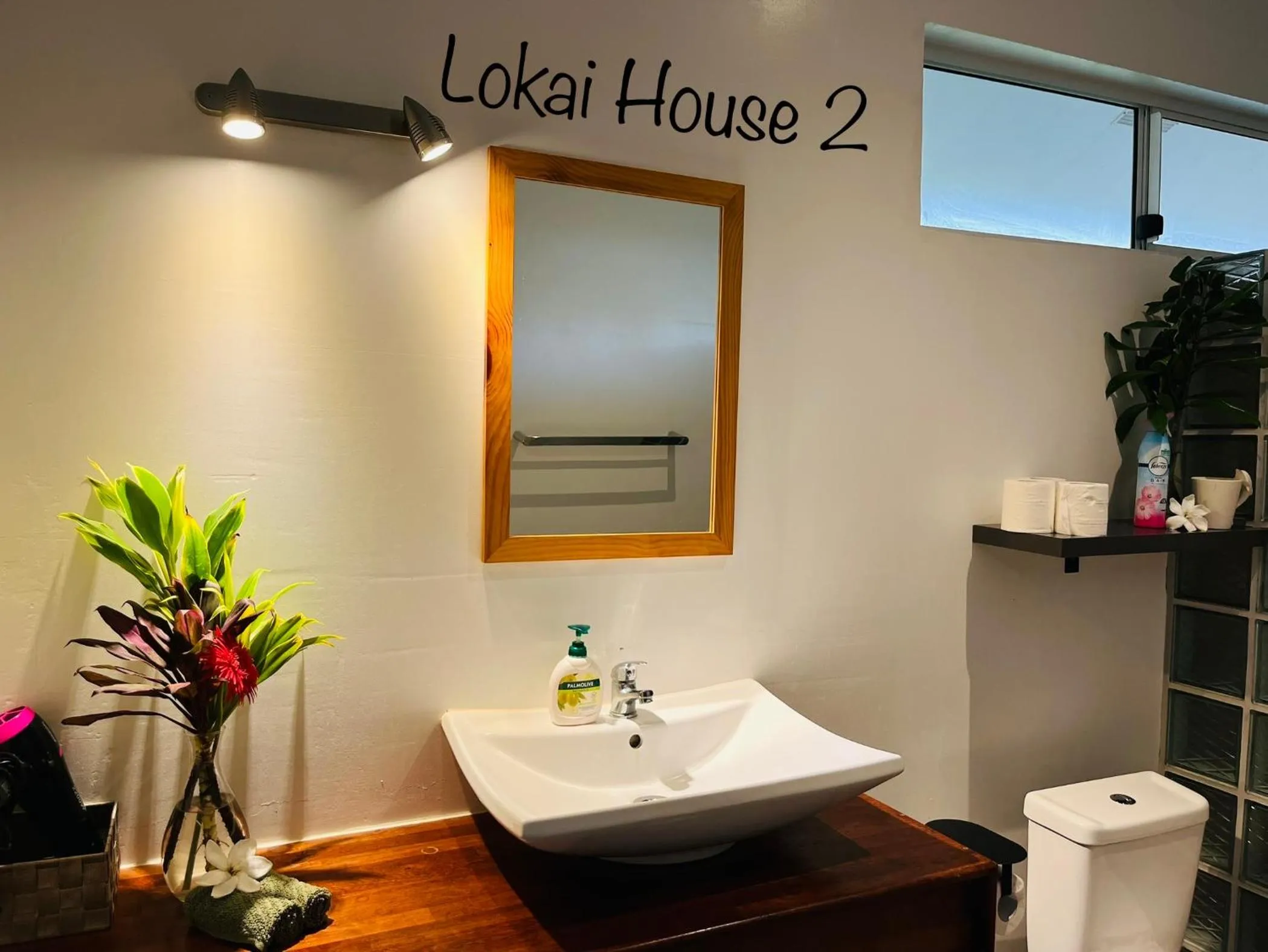 Lokai house