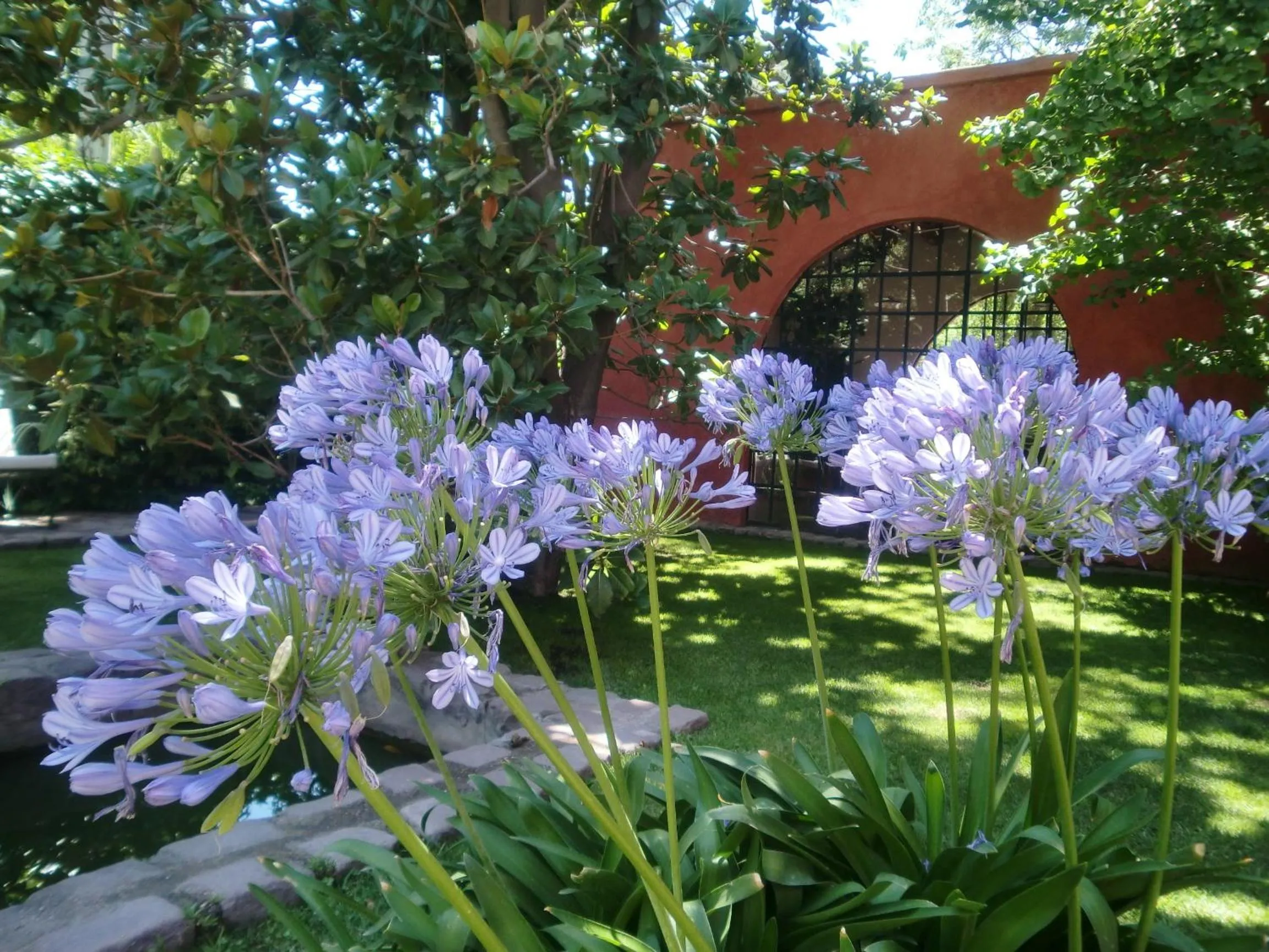 Garden in Finca Adalgisa Wine Hotel Mendoza