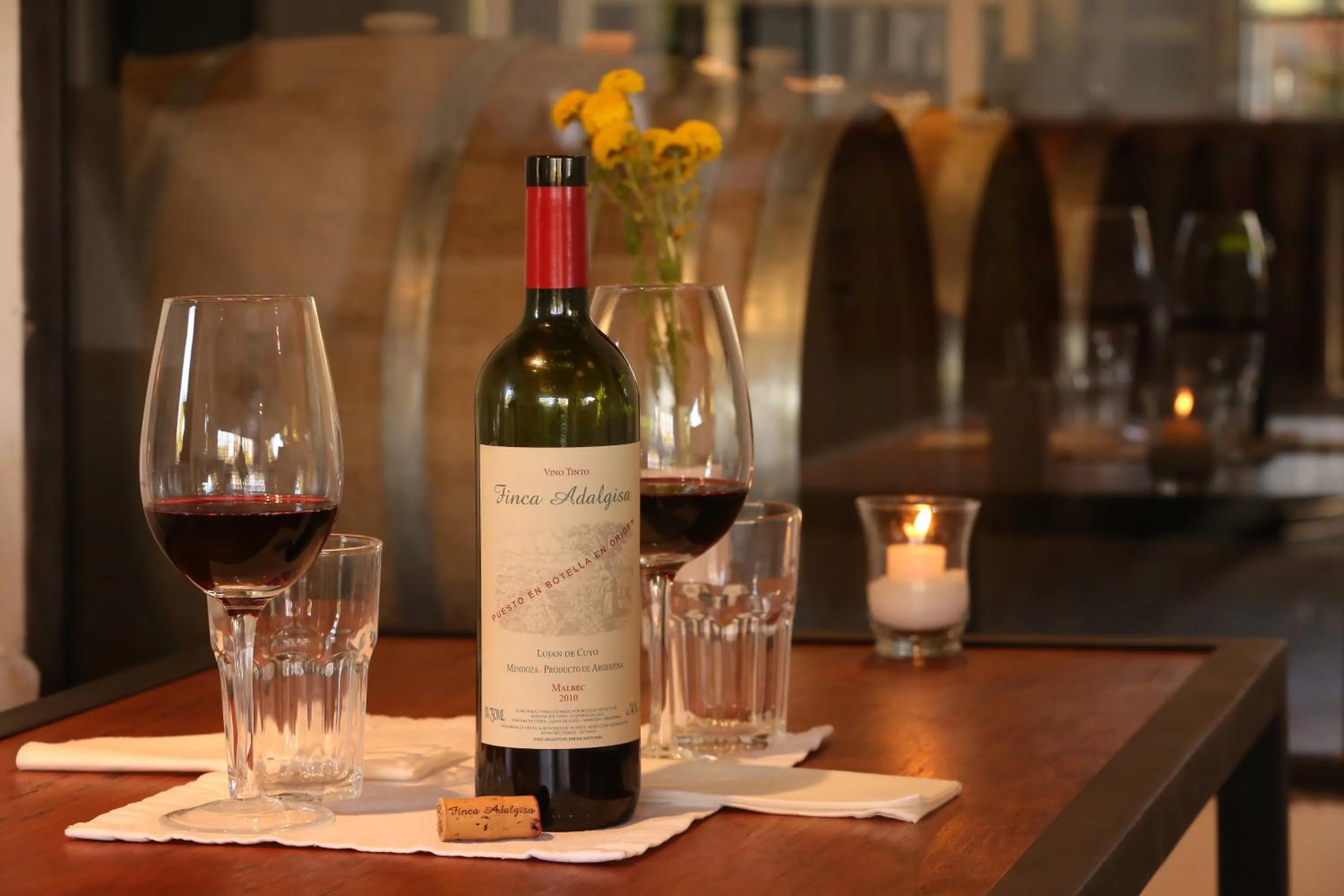 Lounge or bar in Finca Adalgisa Wine Hotel Mendoza