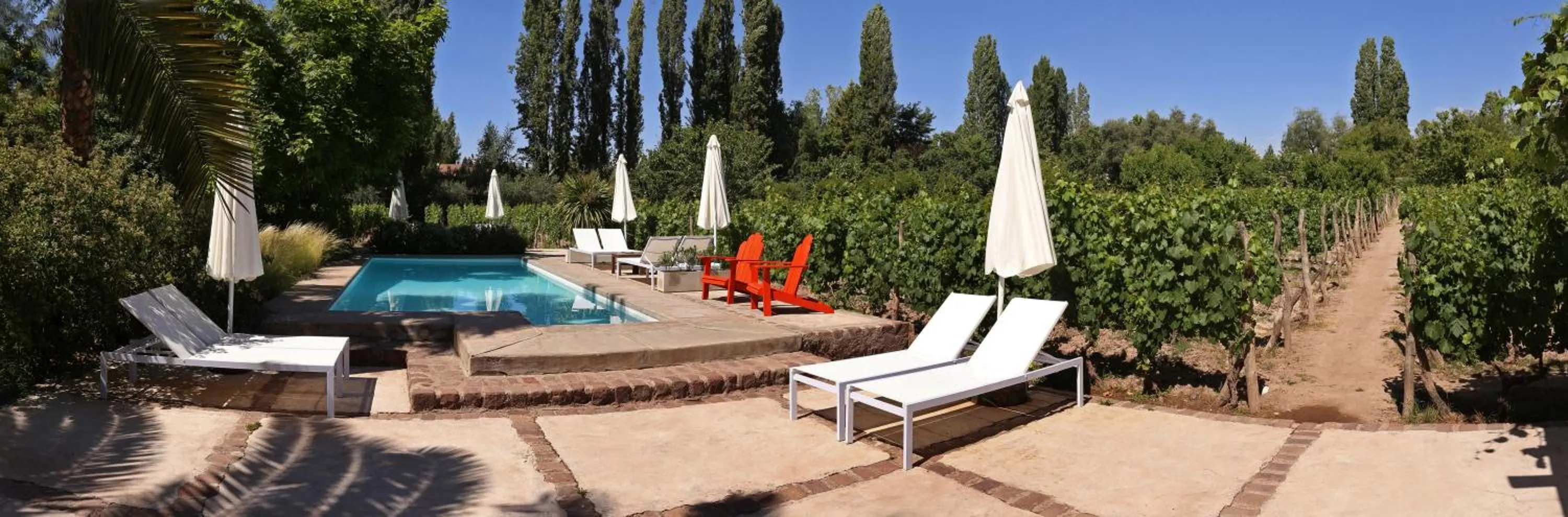 Activities in Finca Adalgisa Wine Hotel Mendoza