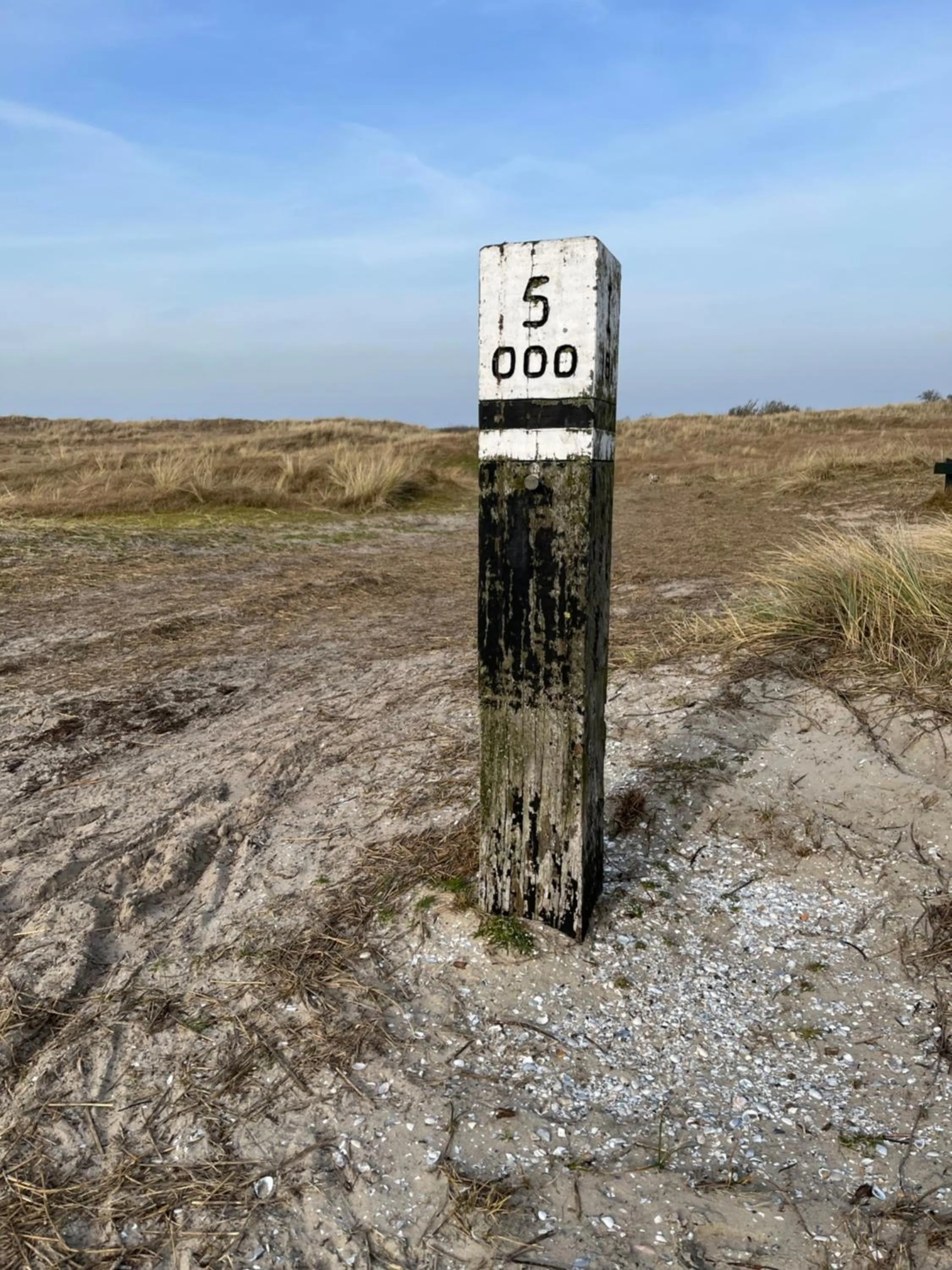 Paal 5
