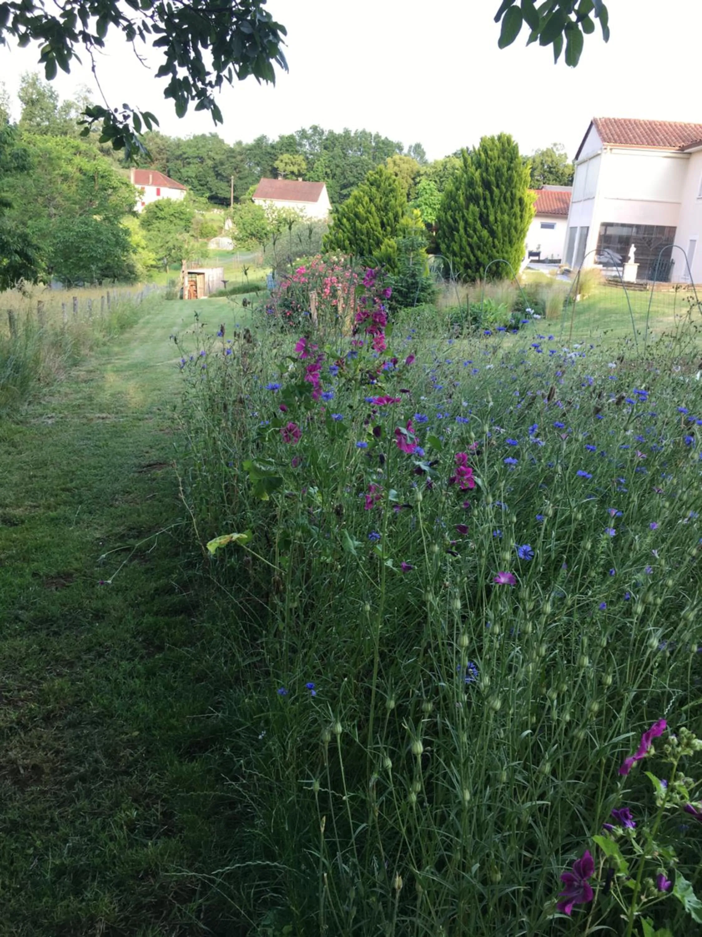 Garden in Chambre d'hôtes Le clos de Rapevache