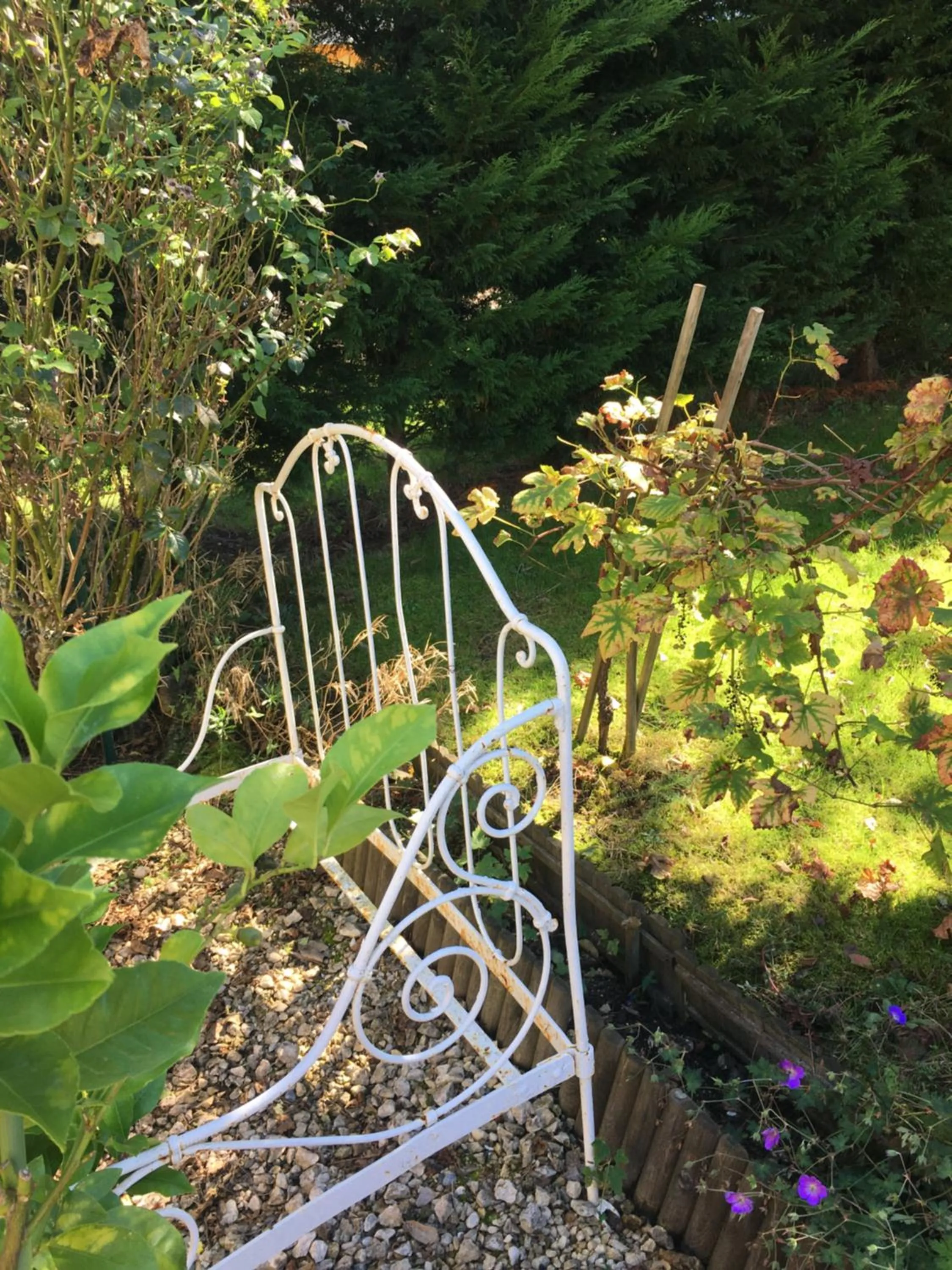 Garden view in Chambre d'hôtes Le clos de Rapevache