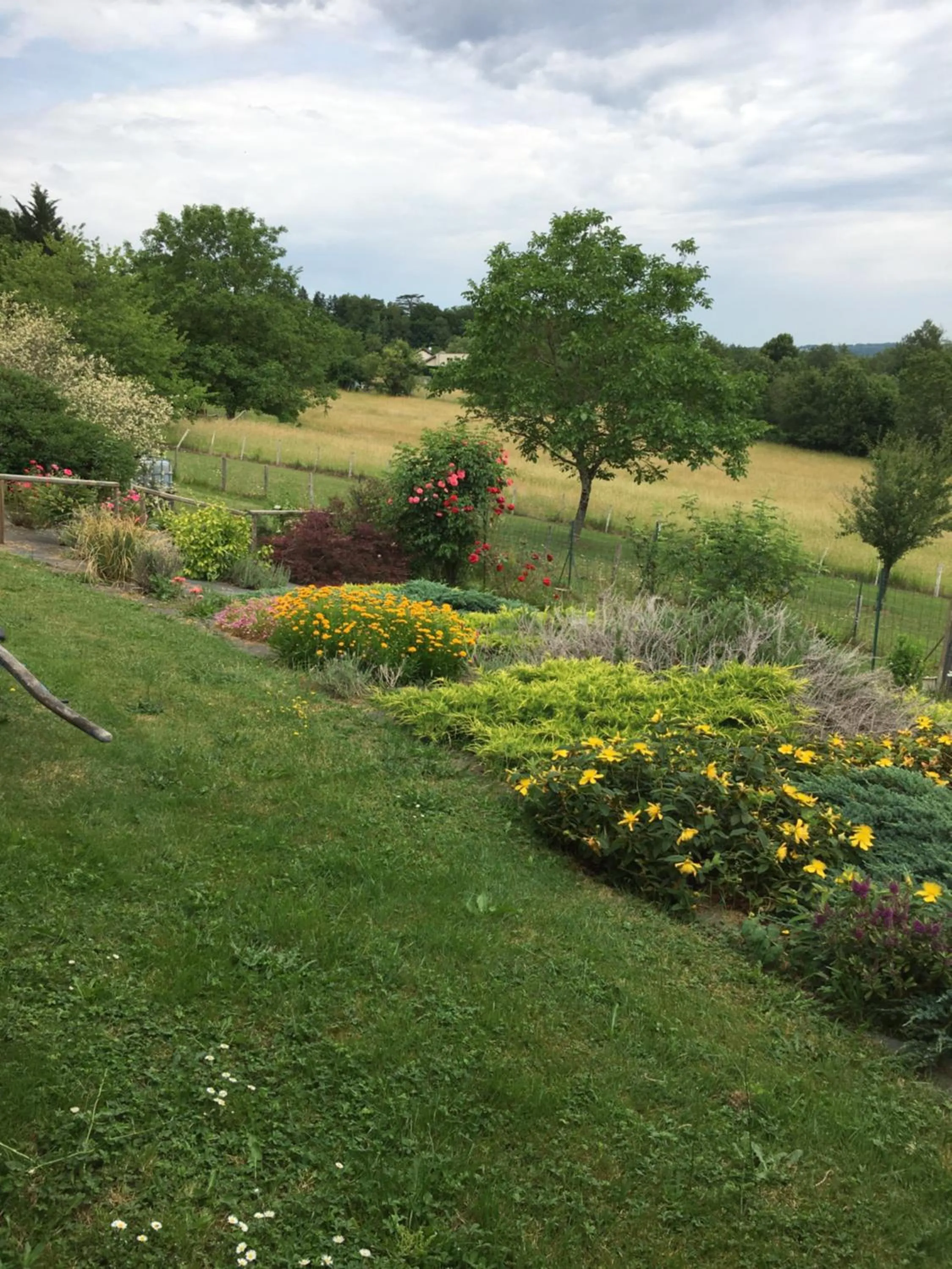 Garden in Chambre d'hôtes Le clos de Rapevache