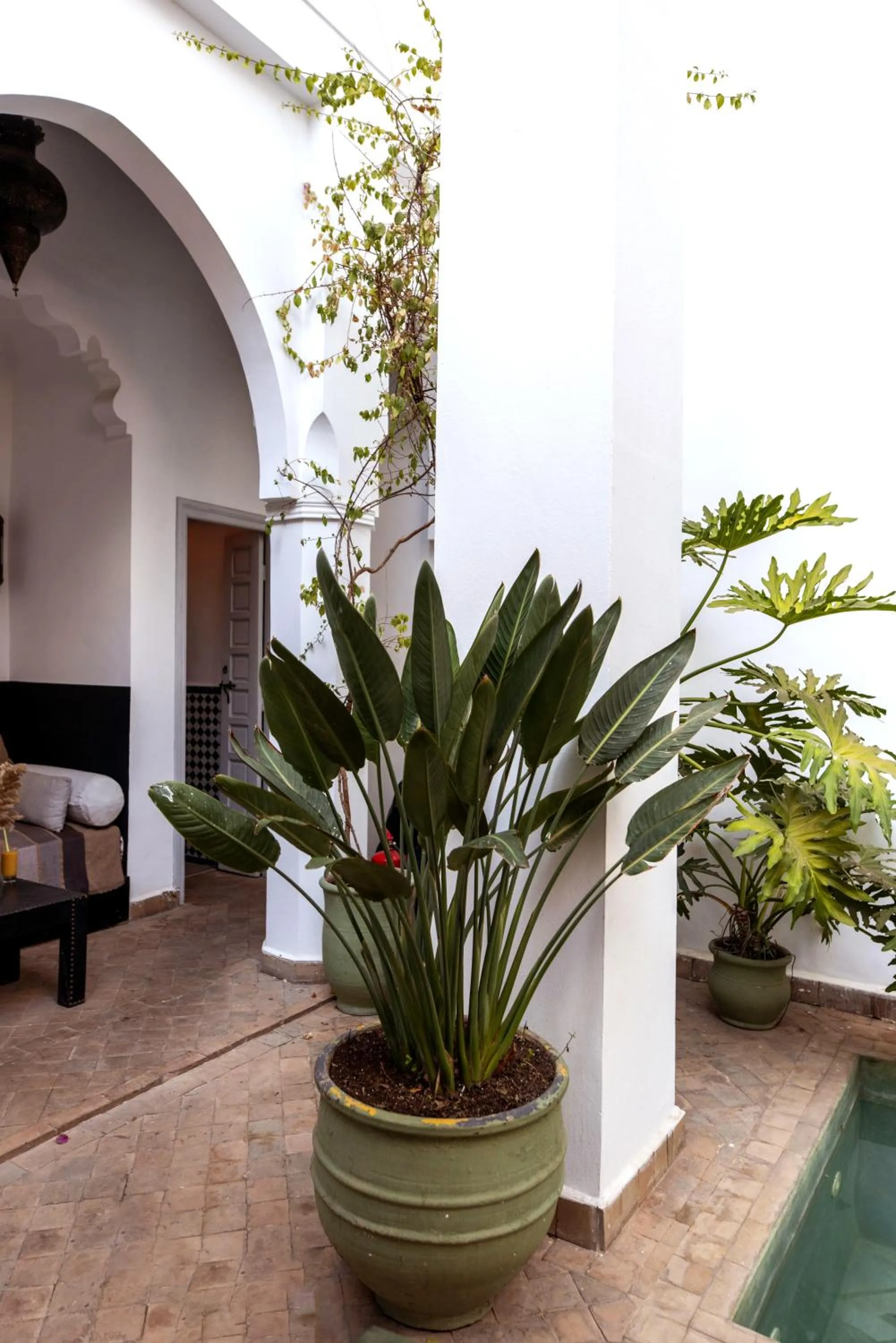 Riad 64 Maison D'hôtes & Spa