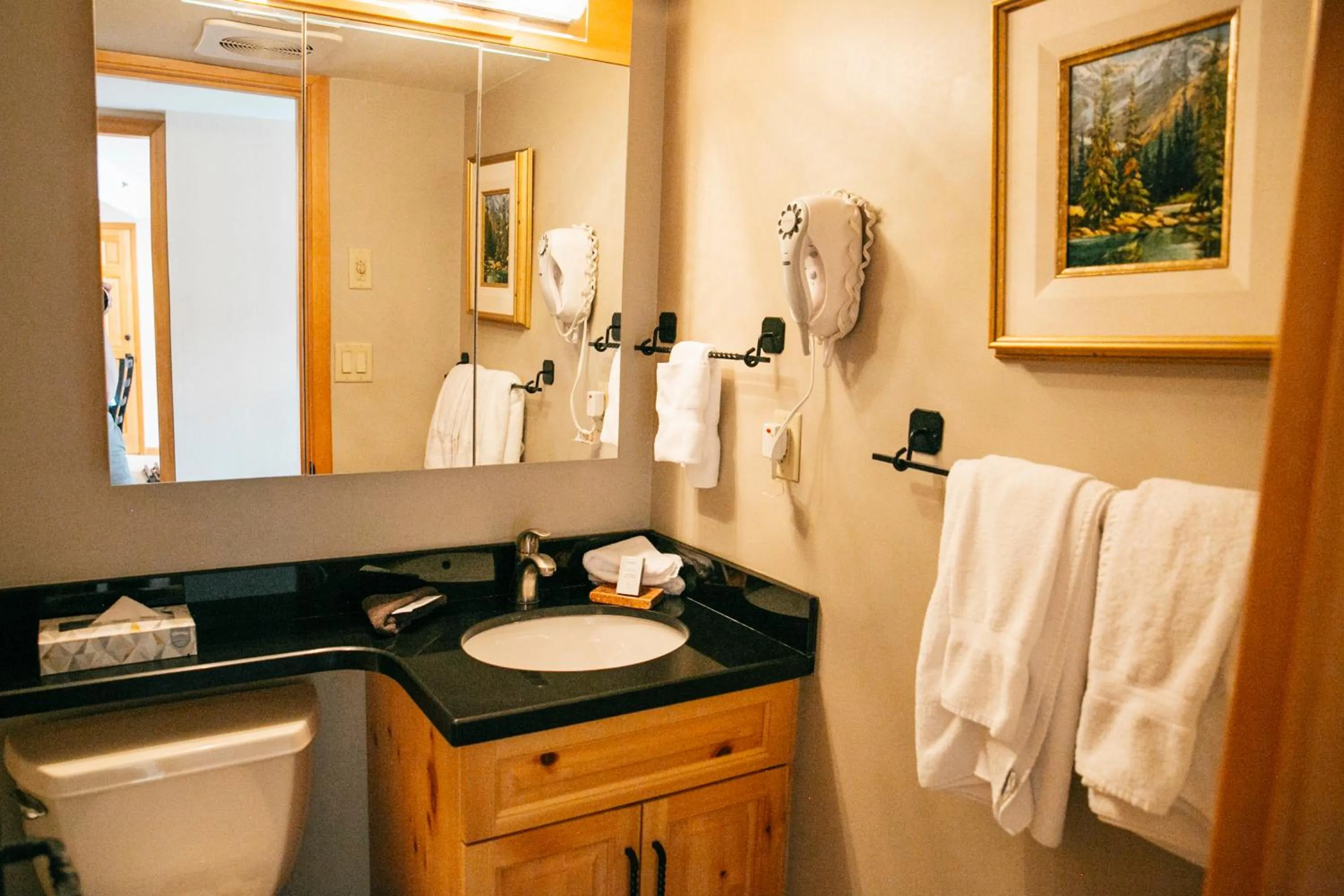 Toilet in Carleton Lodge