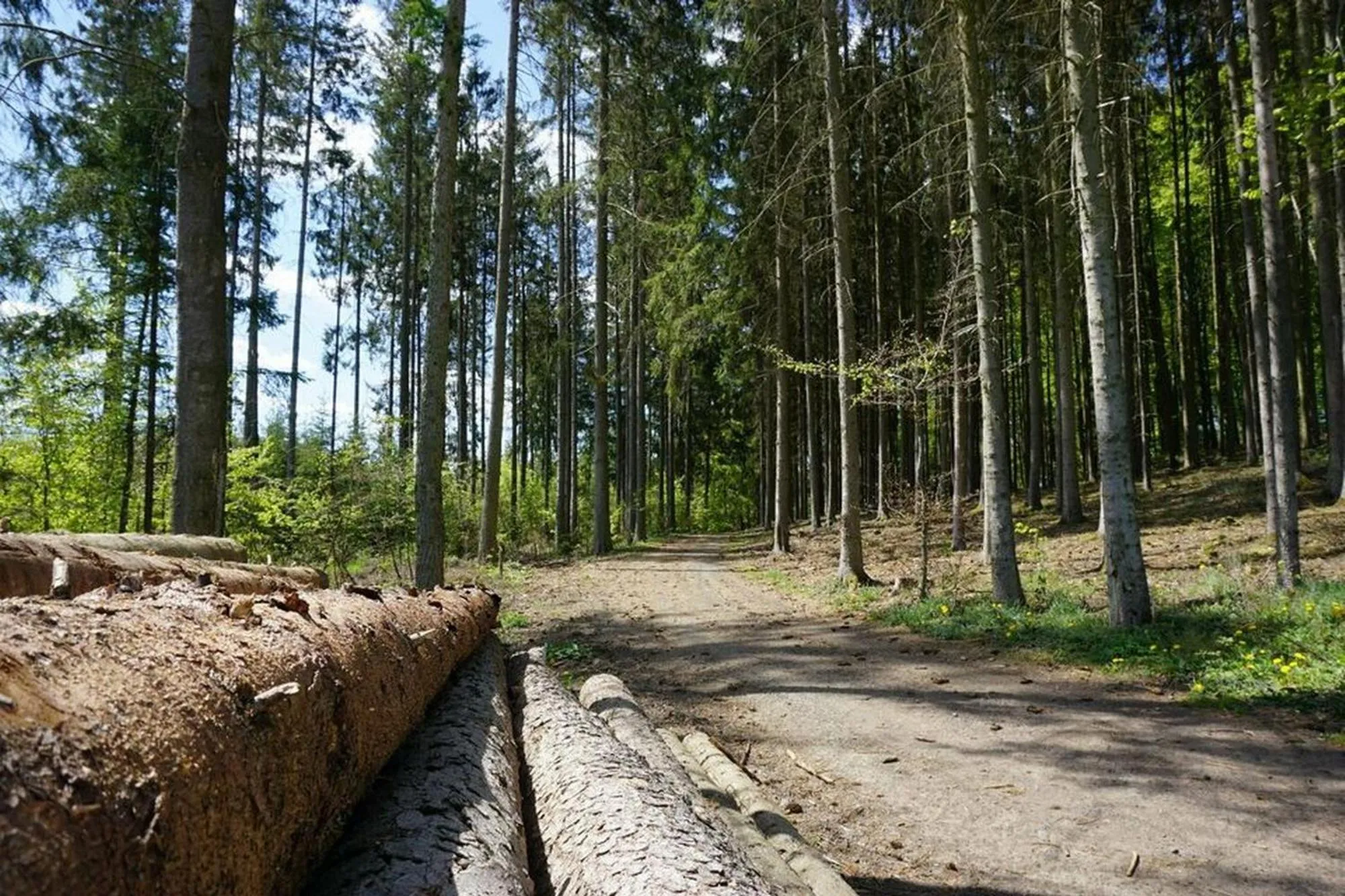 Hiking in Seepark Kirchheim Ferienhaus bei Diane mit Sauna