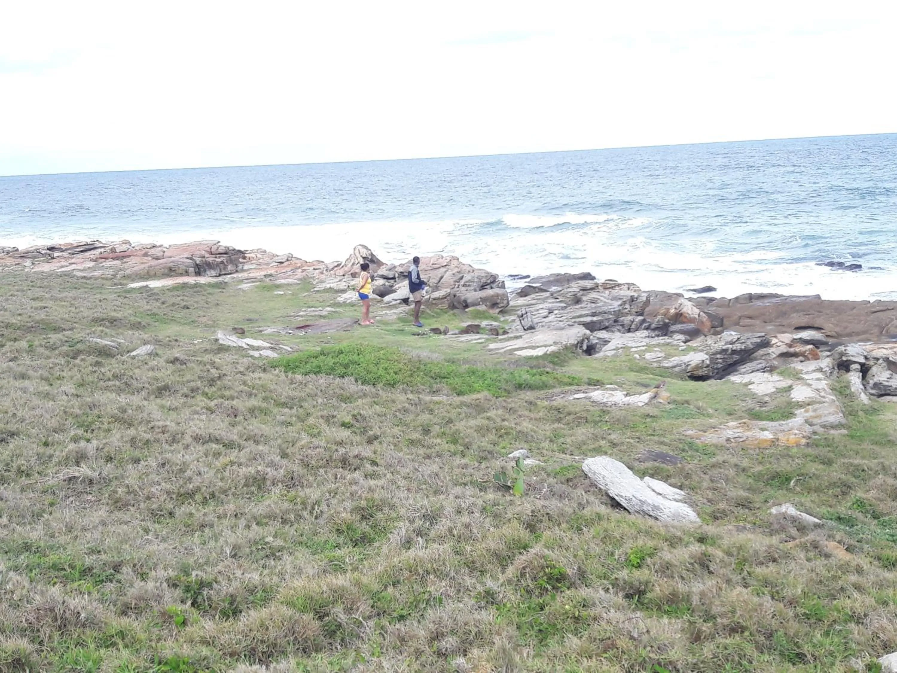 Fishing in Song of the Whales