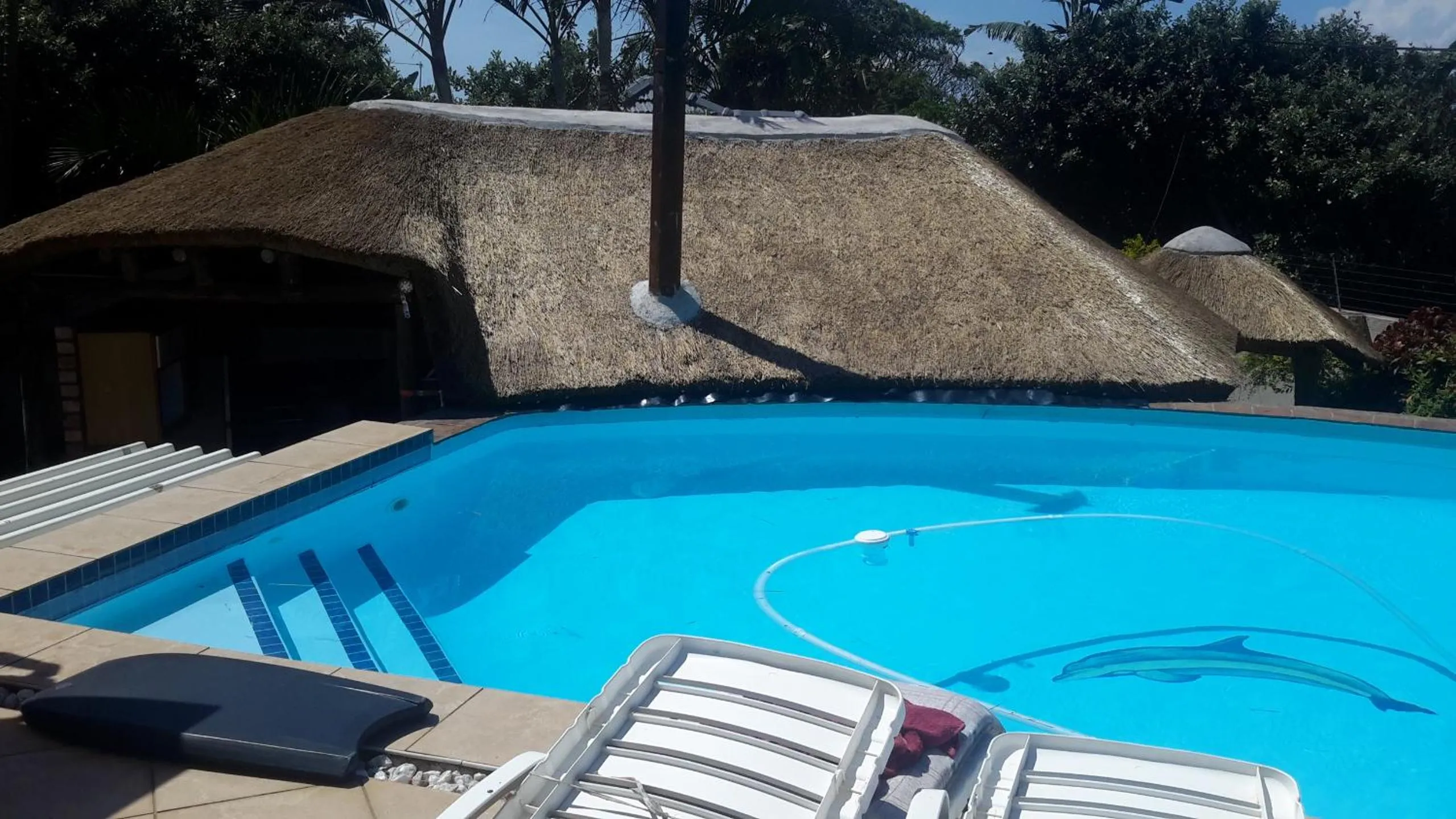 Property building in Song of the Whales