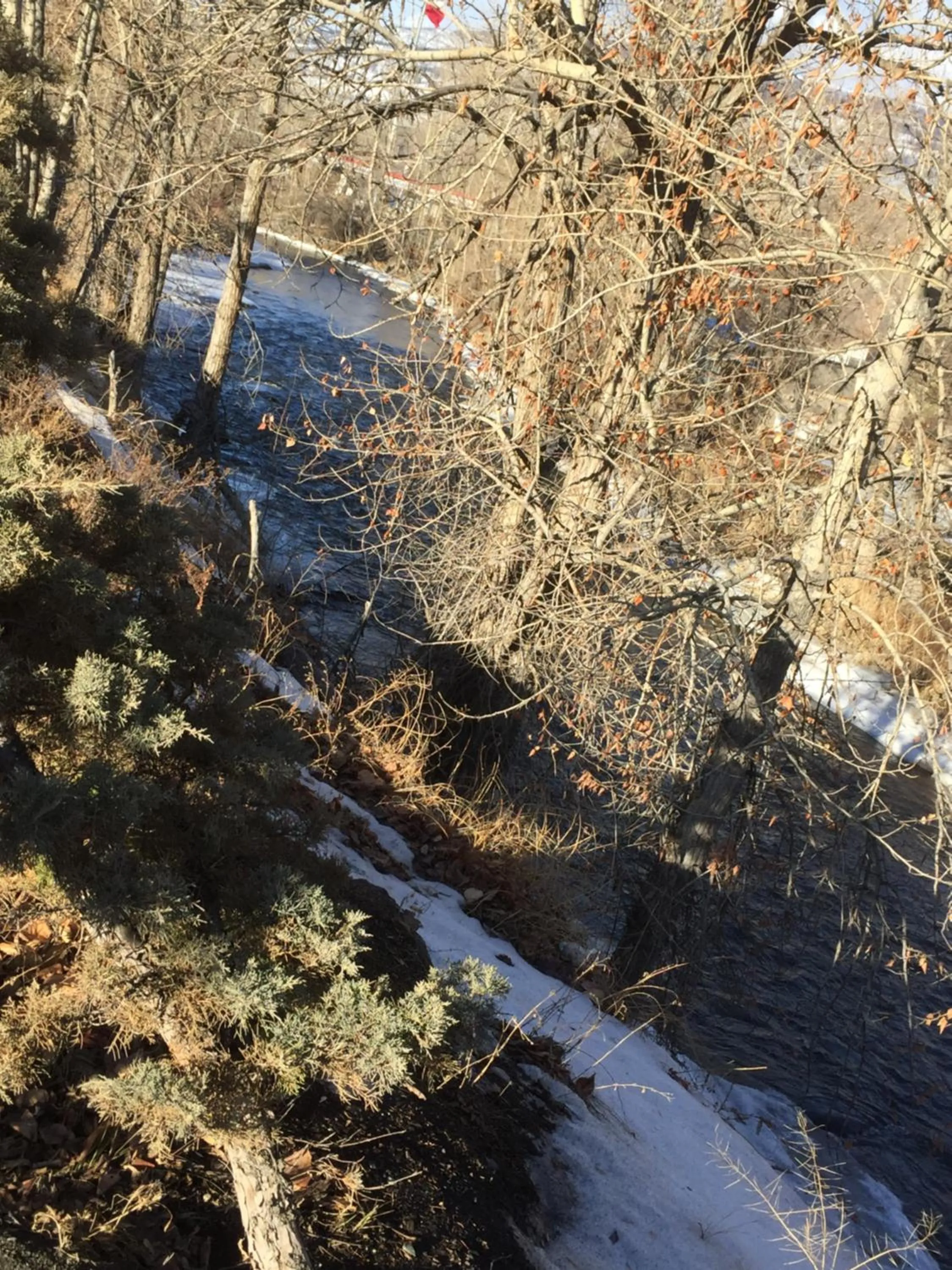 River view in Riverside Motel Cache Creek