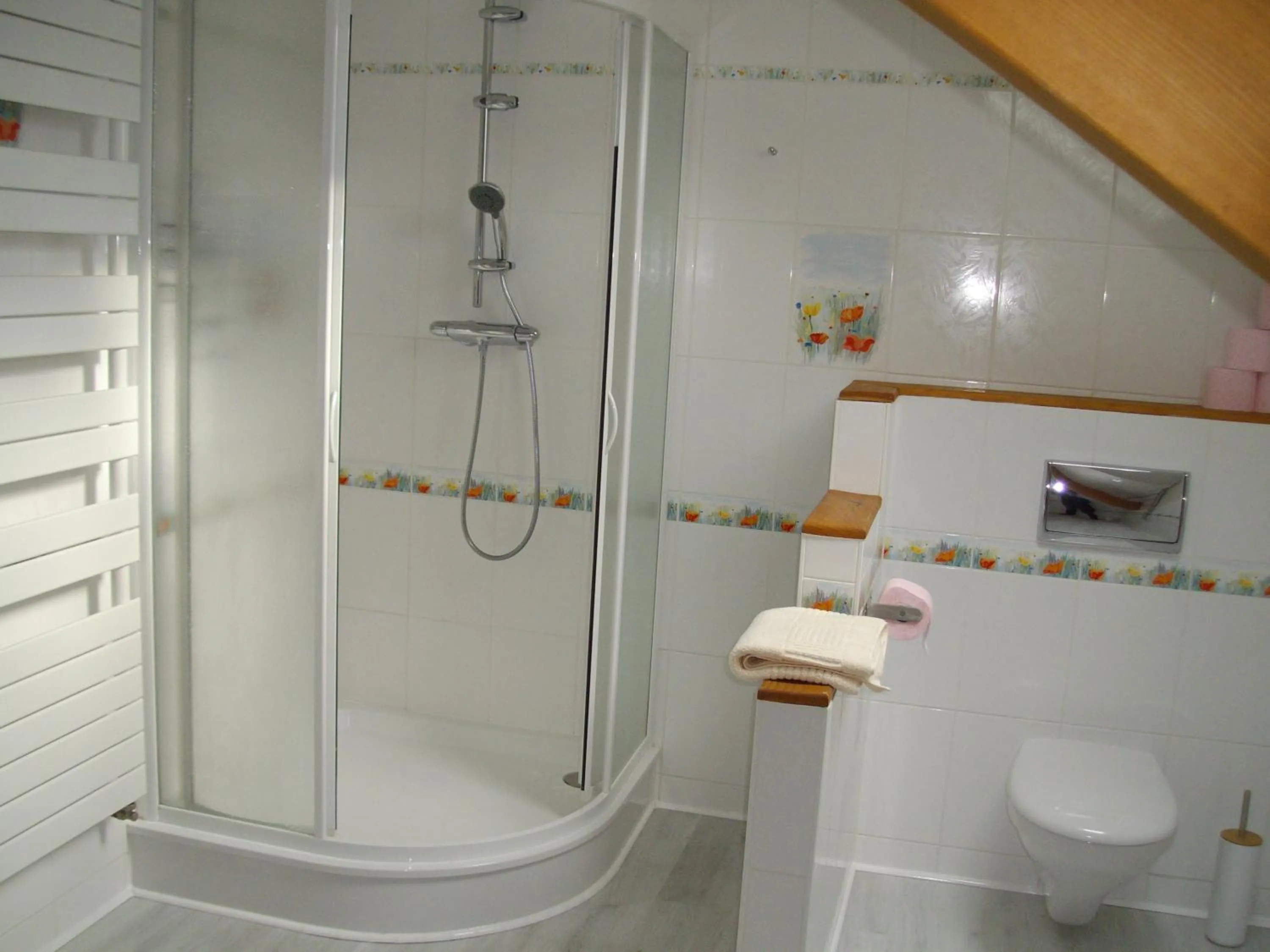 Shower in Mon Eden Vosgien