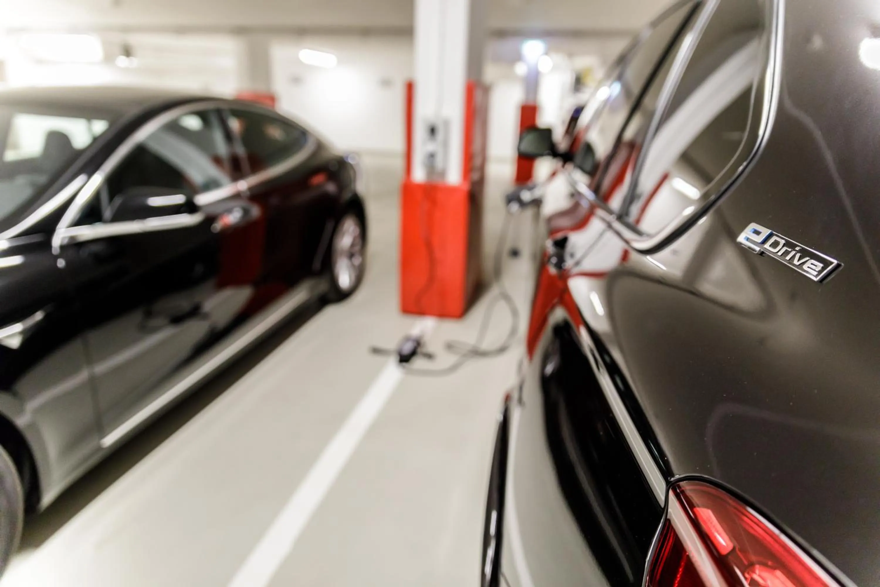 Area and facilities in Cocoon - Alpine Boutique Lodge