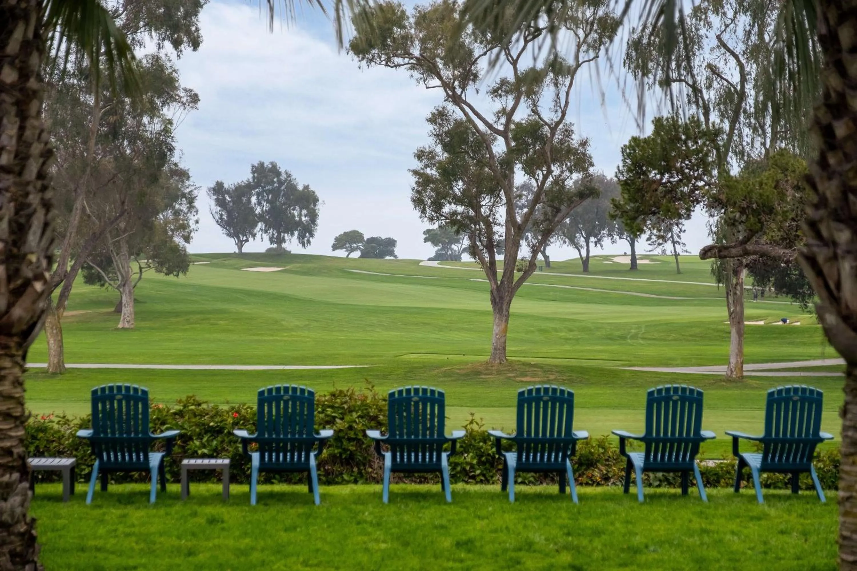 Golfcourse in Hilton La Jolla Torrey Pines