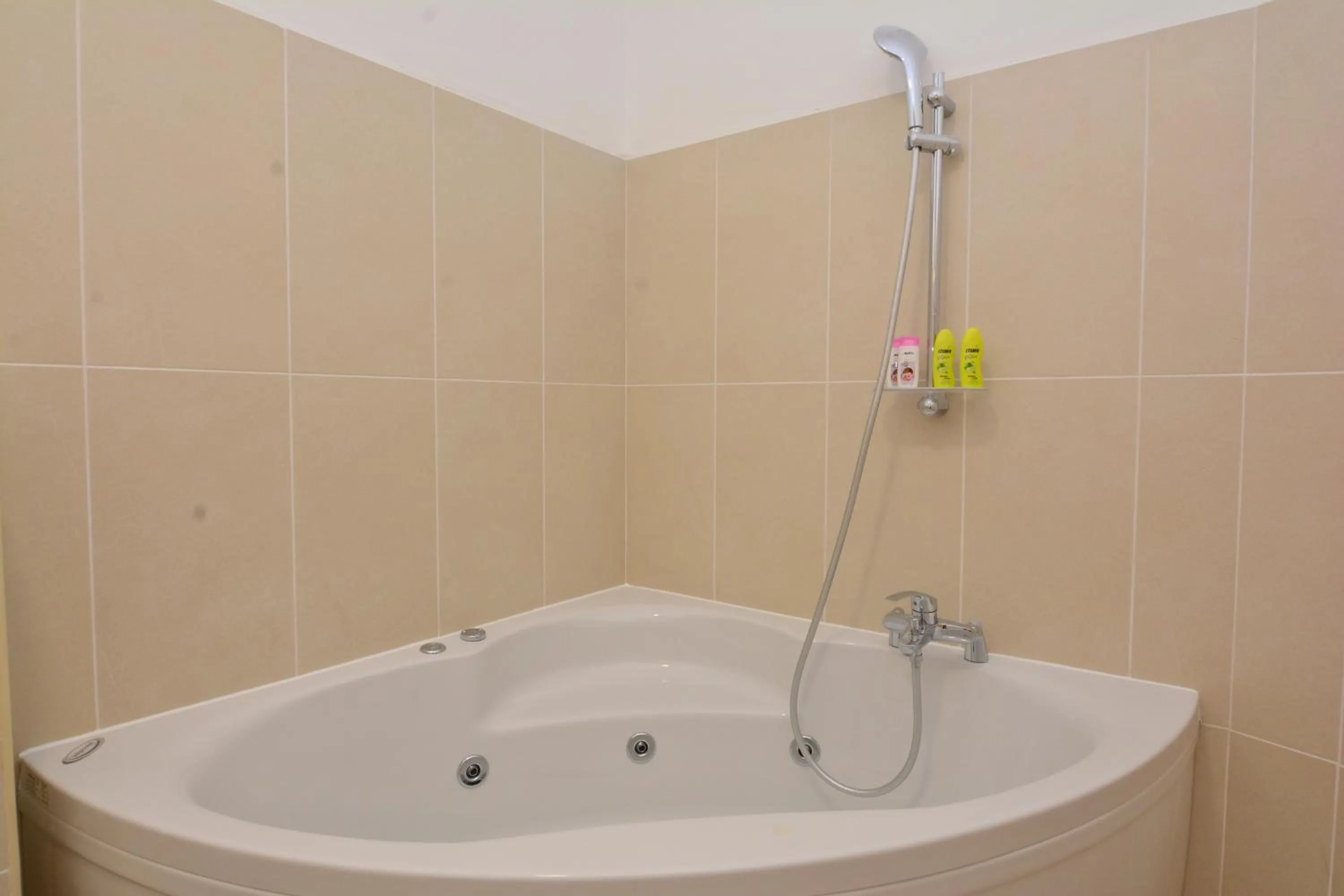 Hot Tub in Luxury Room Uzorita B&B