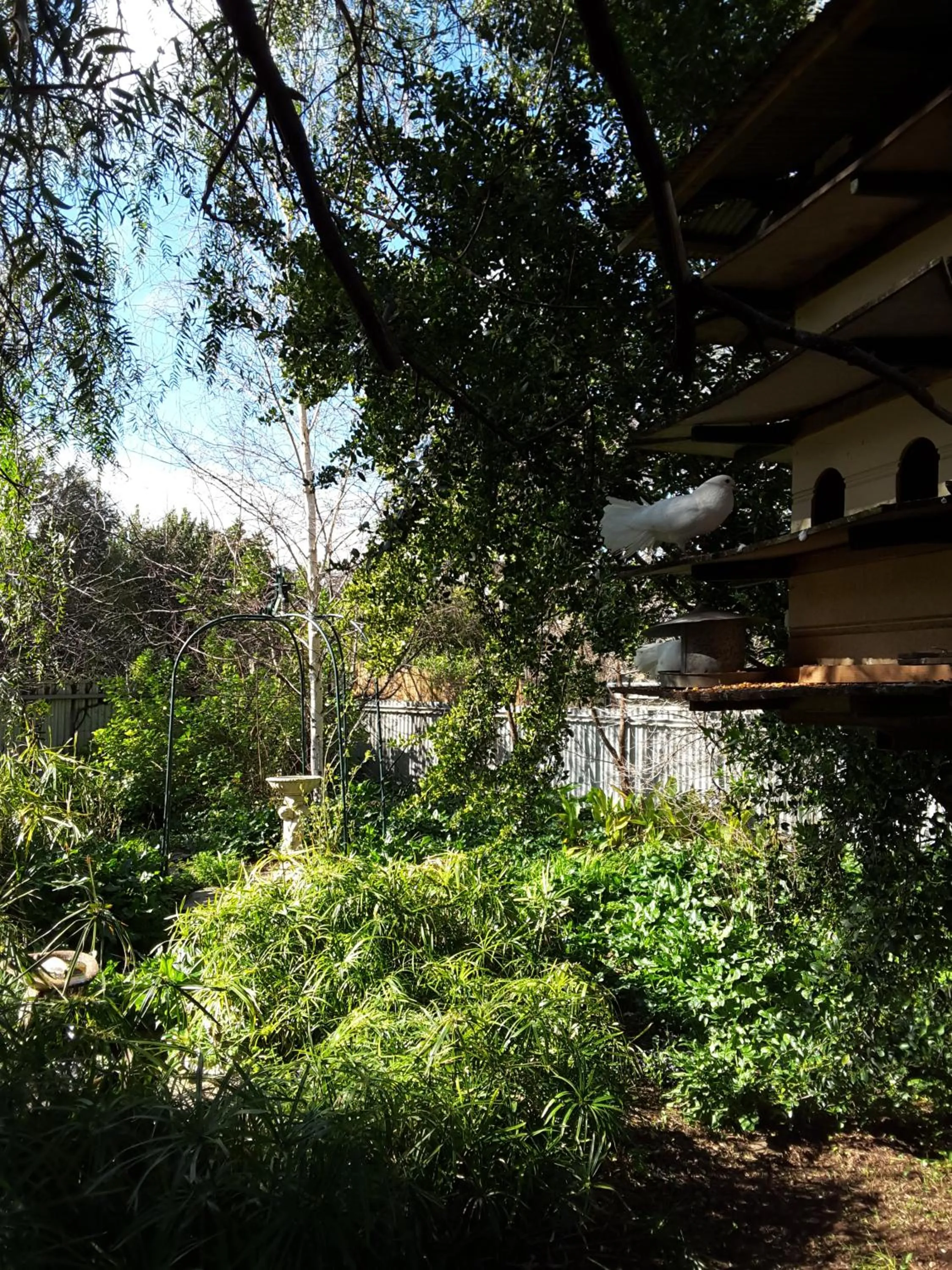 Garden in The Dove Cote
