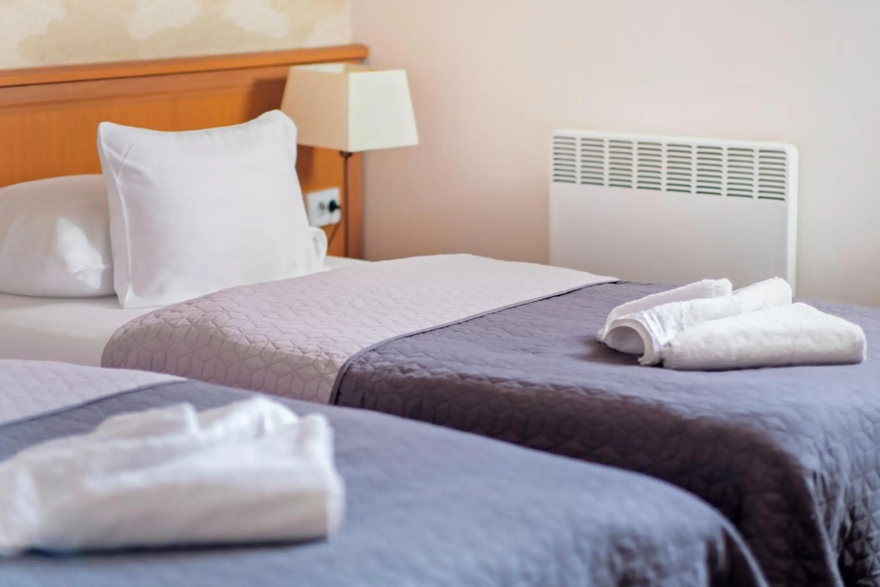 Twin Room - single occupancy in König Hotel Twin Room - single occupancy in König Hotel