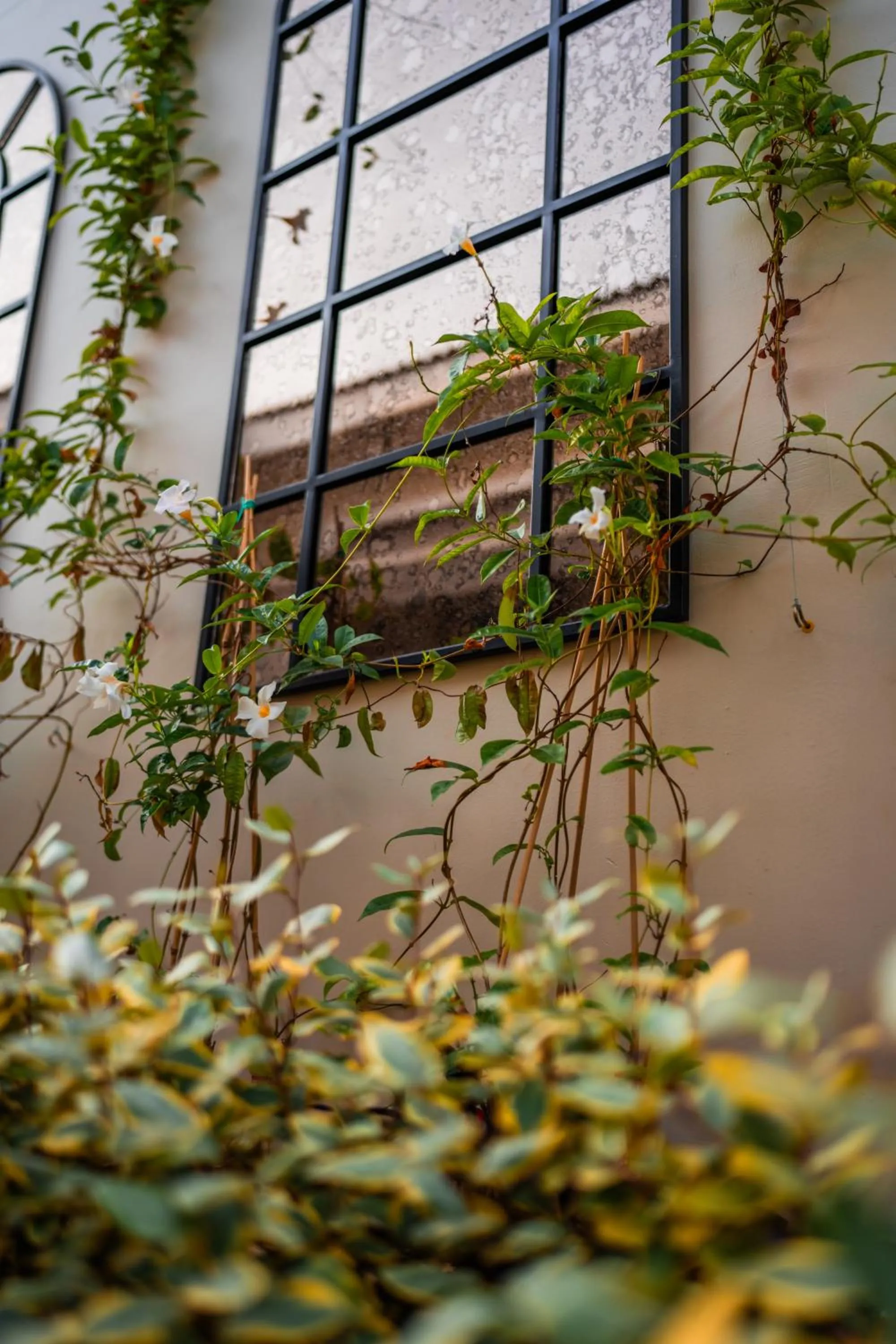 Property building in Elegance East Hotel