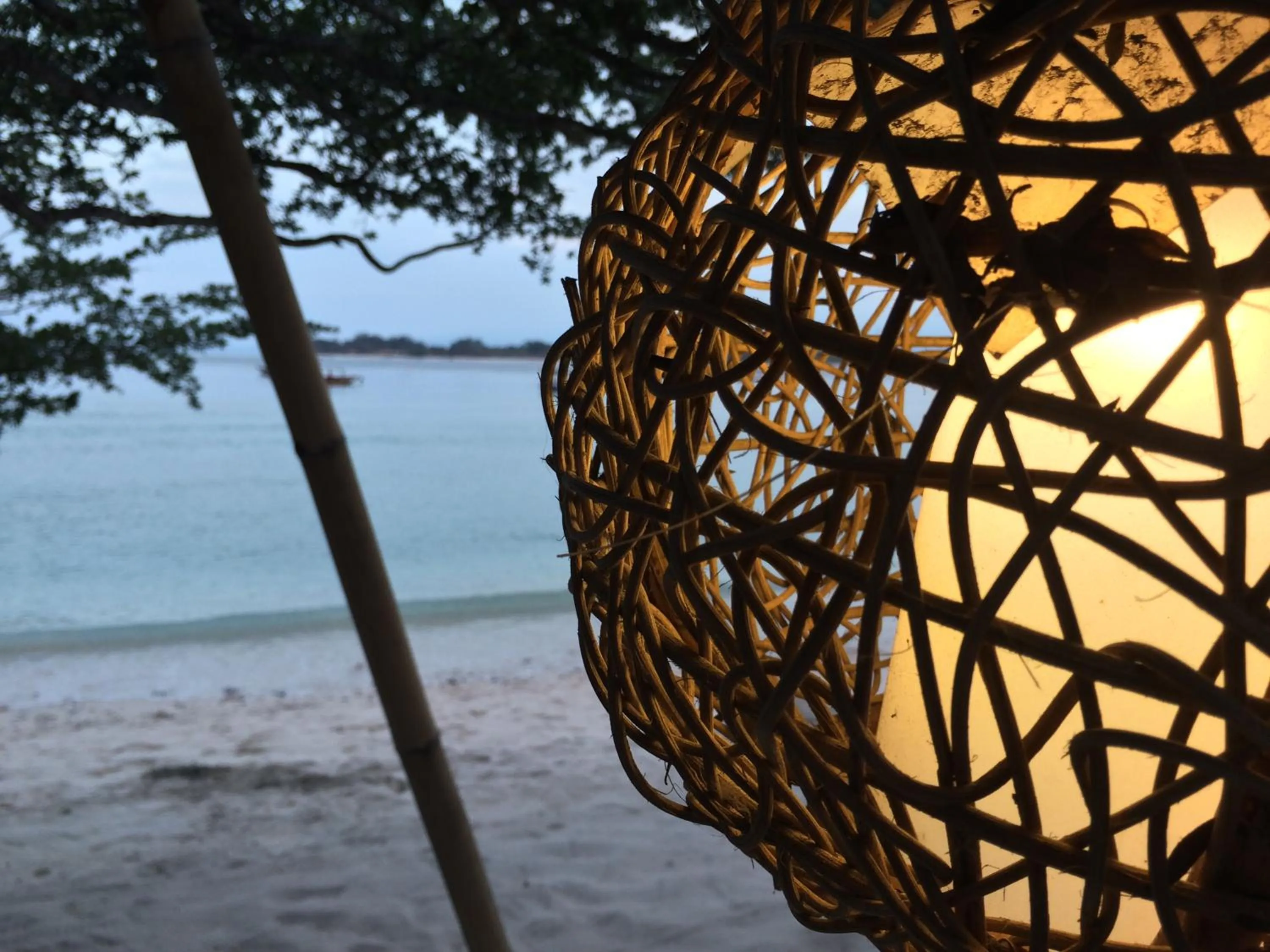 Beach in Coral Beach 2 Bungalow