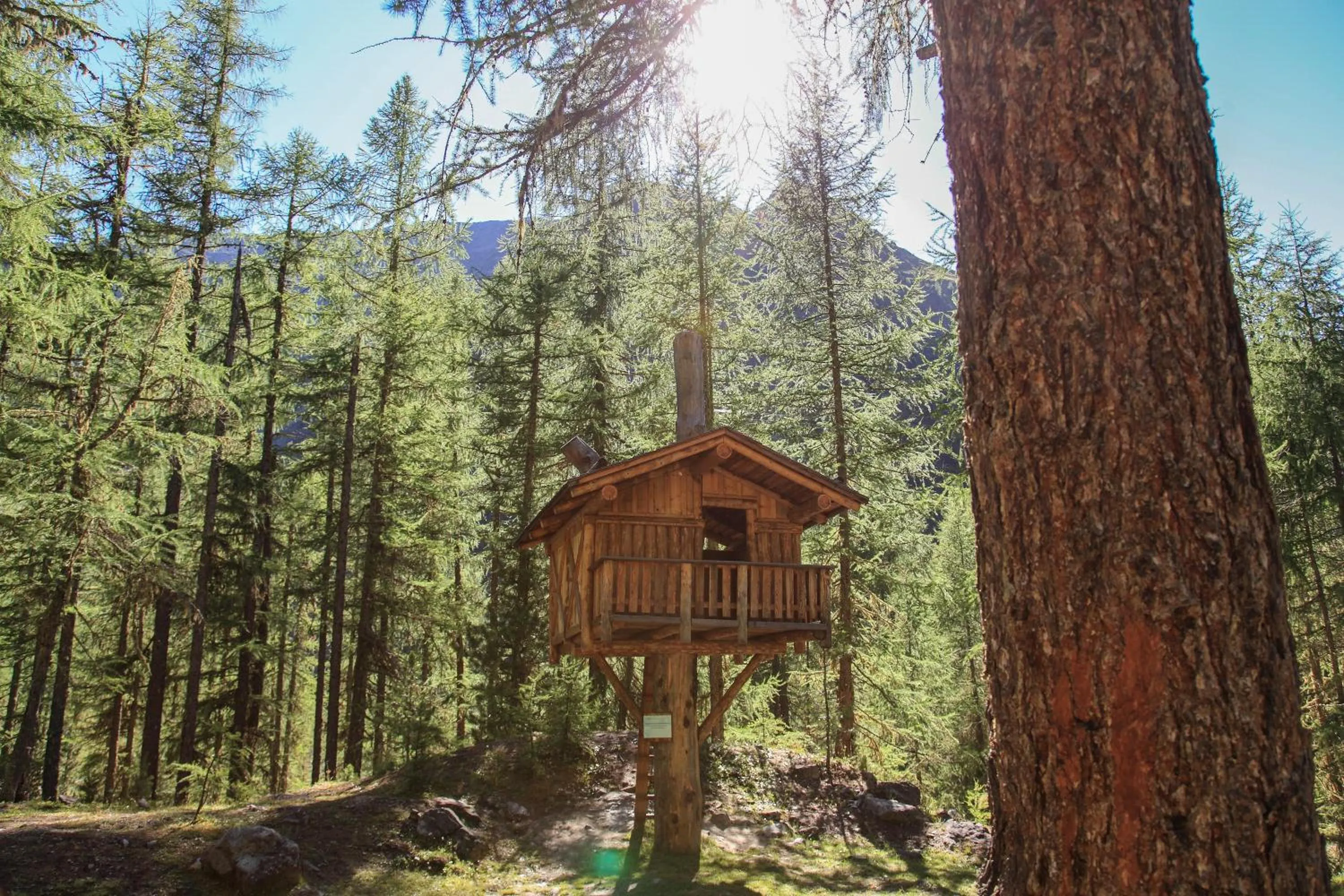 Activities in Garni des Alpes