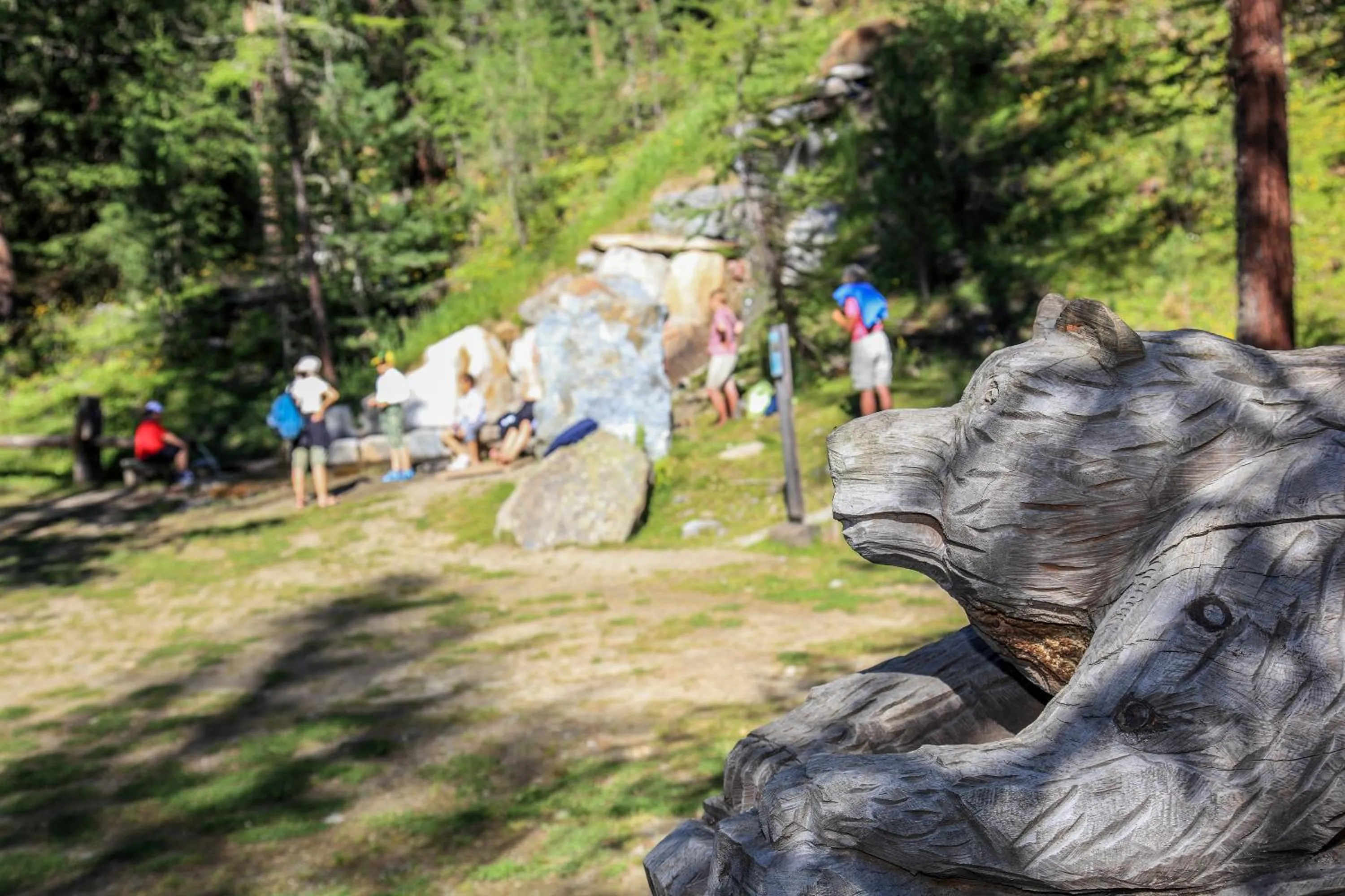 Entertainment in Garni des Alpes