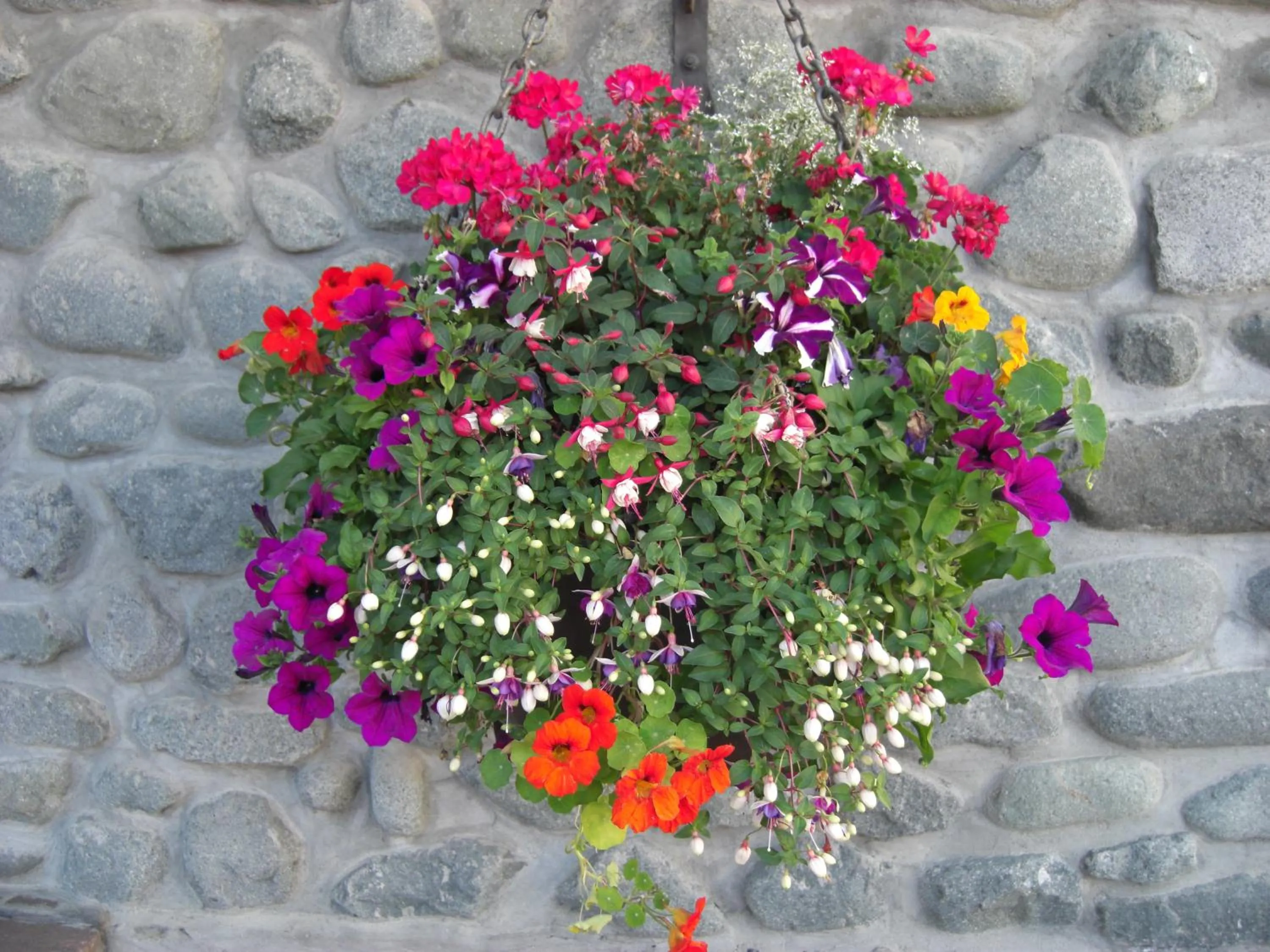 Facade/entrance in Garni des Alpes