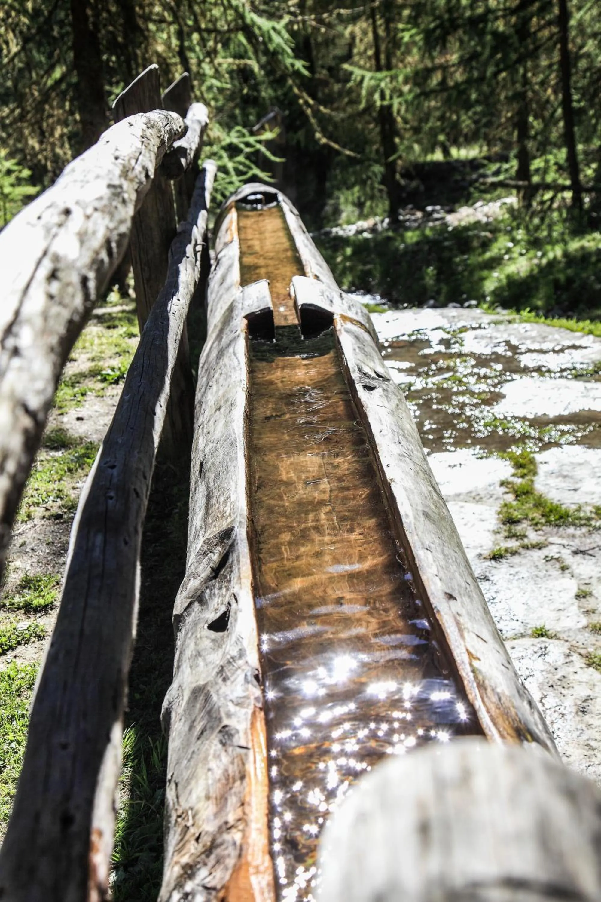 Entertainment in Garni des Alpes