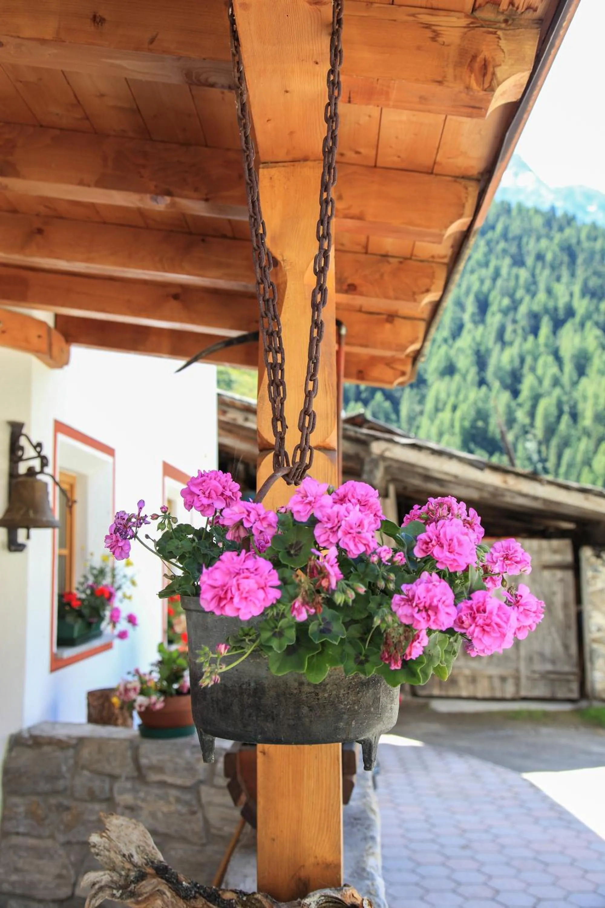 Facade/entrance in Garni des Alpes