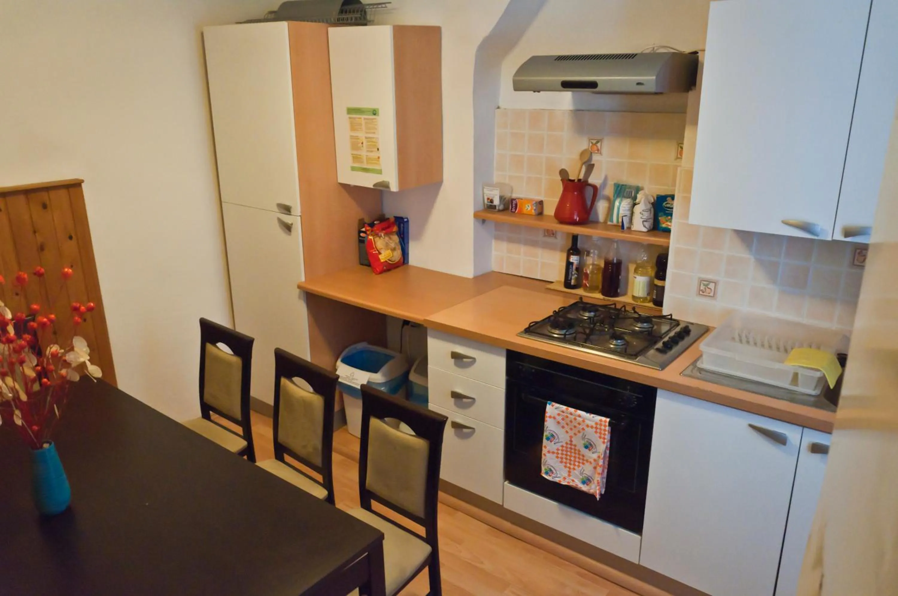Kitchen or kitchenette in Hostel Piran
