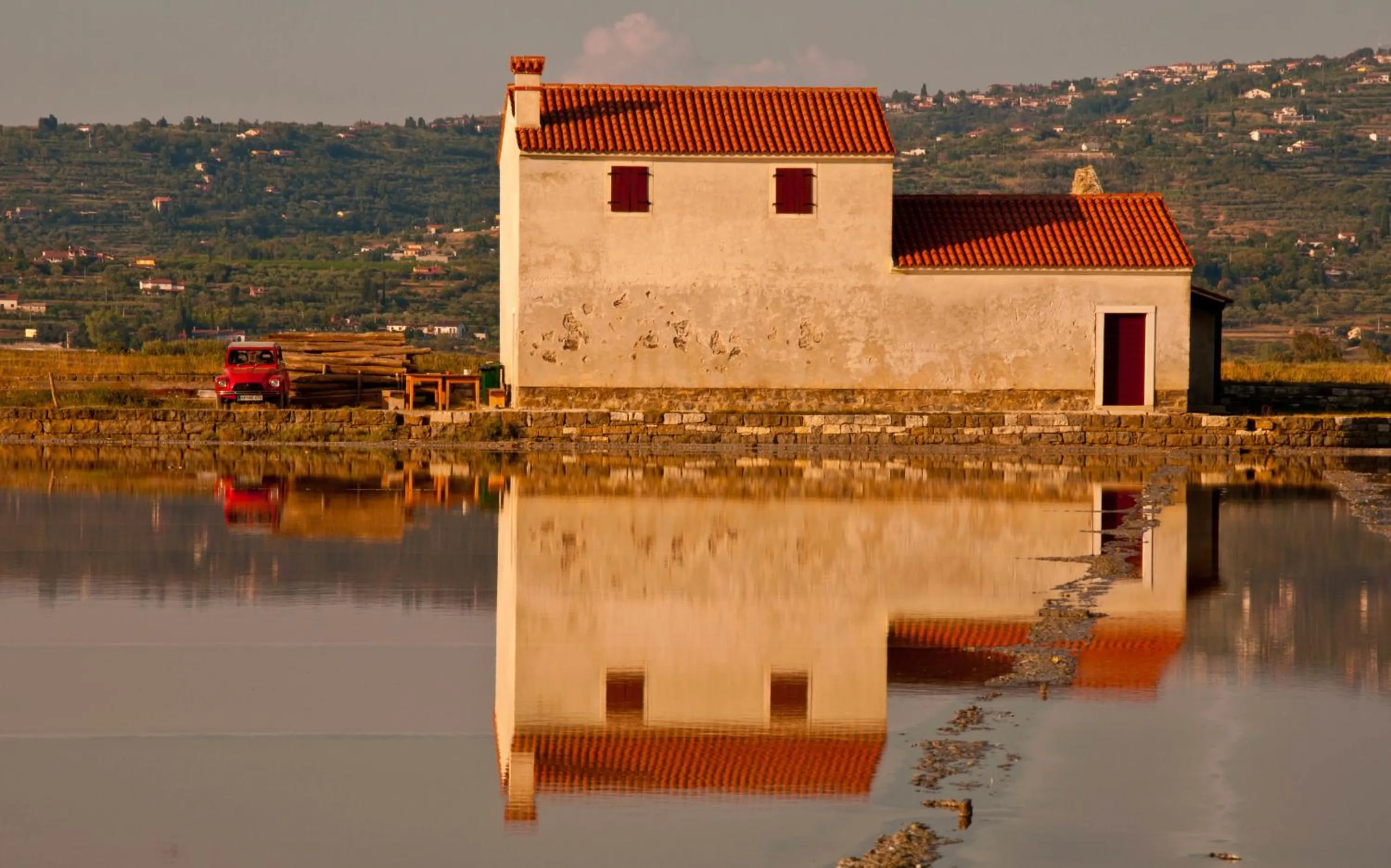 Natural landscape in Hostel Piran