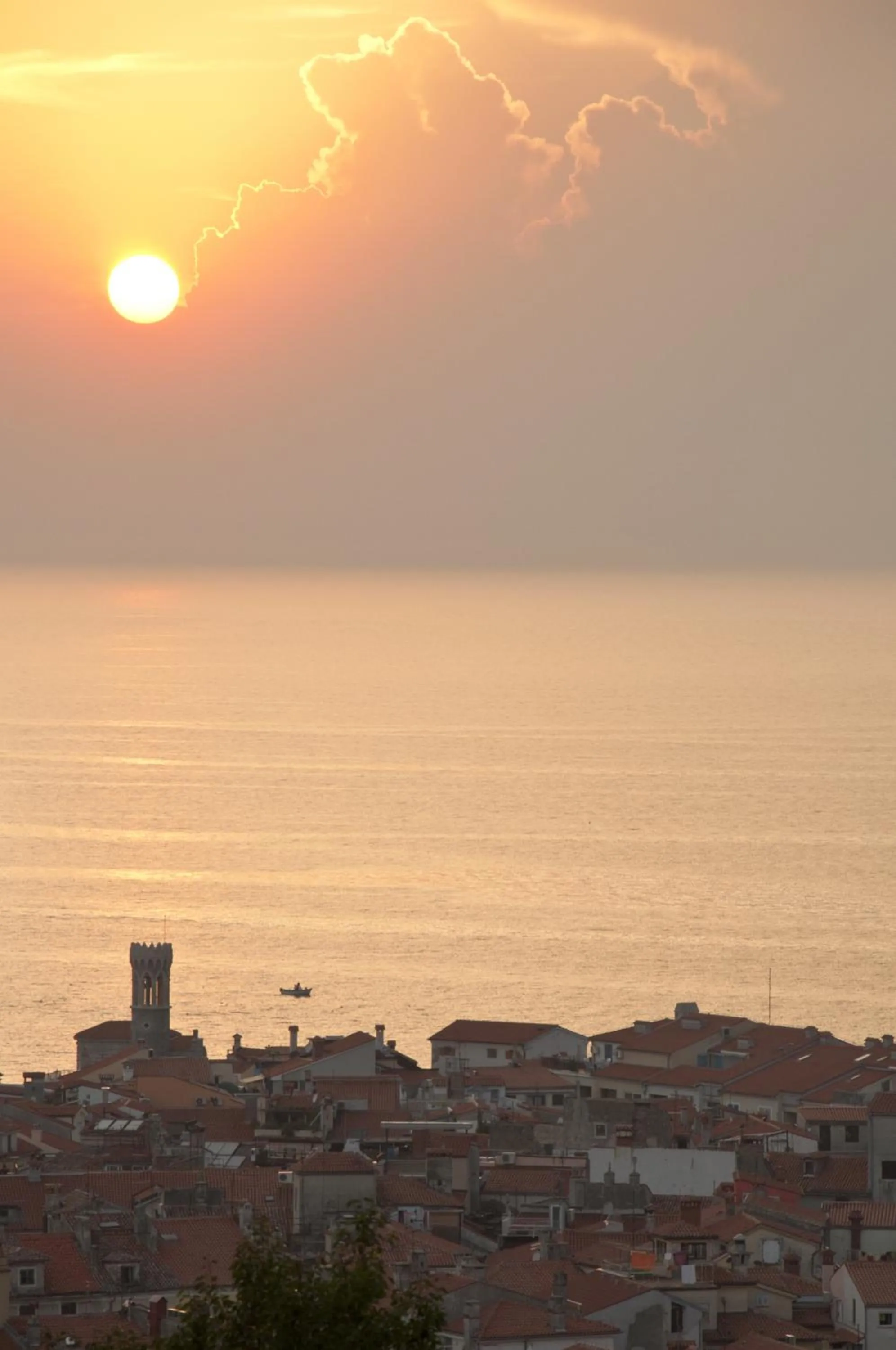 Natural landscape in Hostel Piran