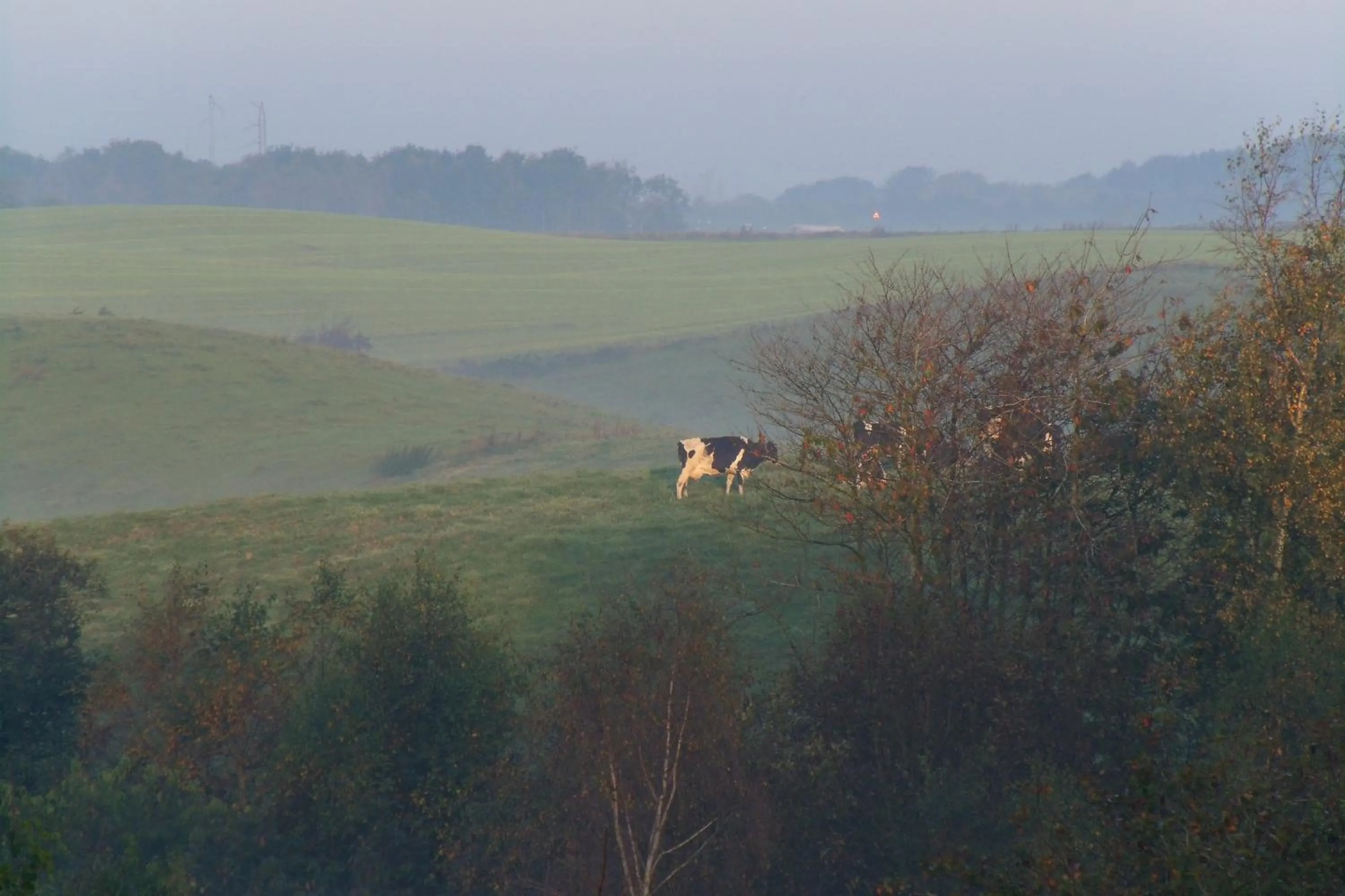 Natursti Silkeborg Bed & Breakfast